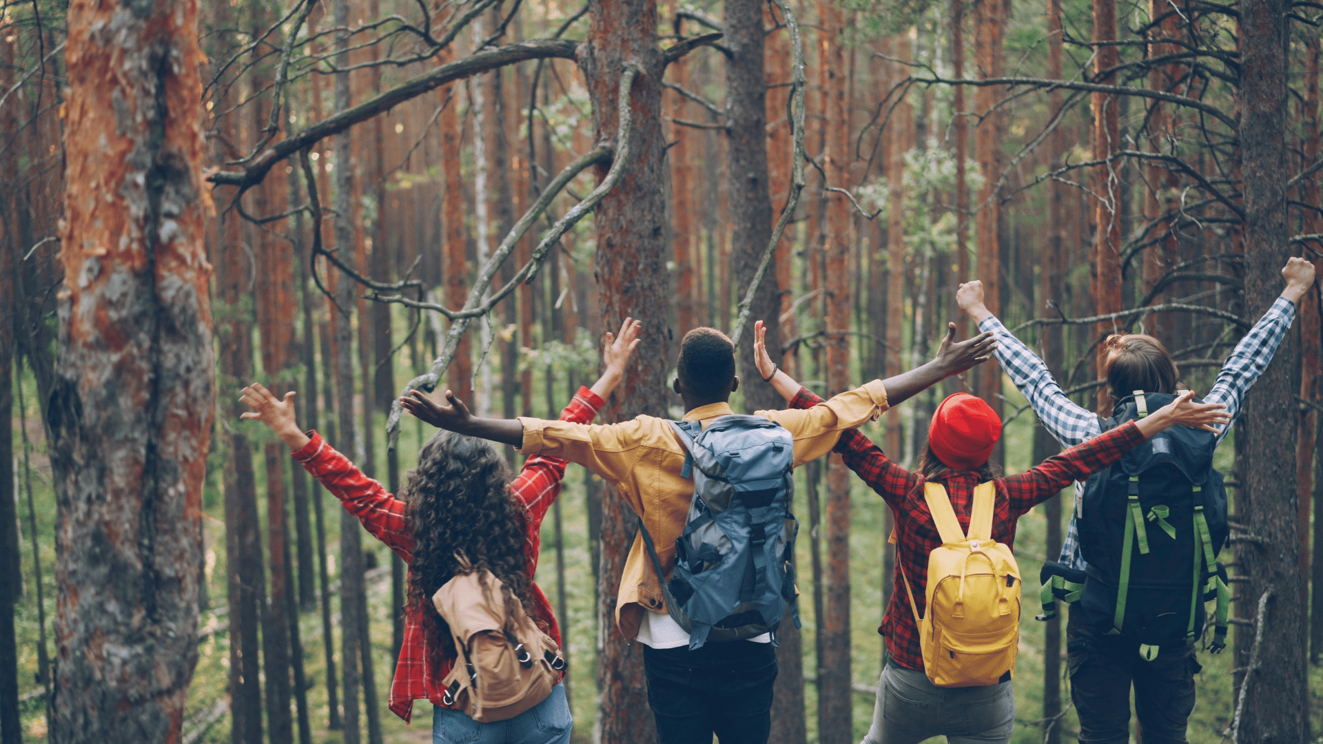 A group of people with arms raised in an Idaho forest, representing healing retreats and nature-based group therapy at The Resiliency Center of Idaho.