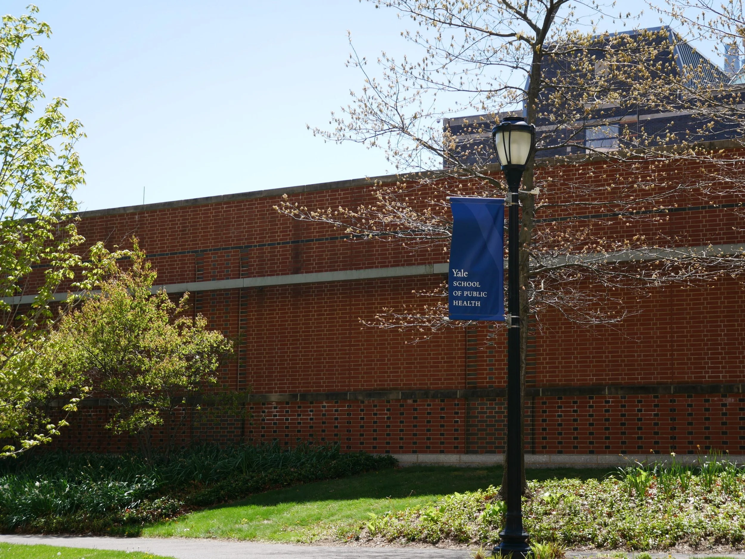 Yale experts respond to measles outbreak in the United States