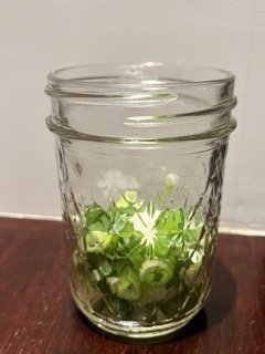 IMG_3654 2 Small.jpeg