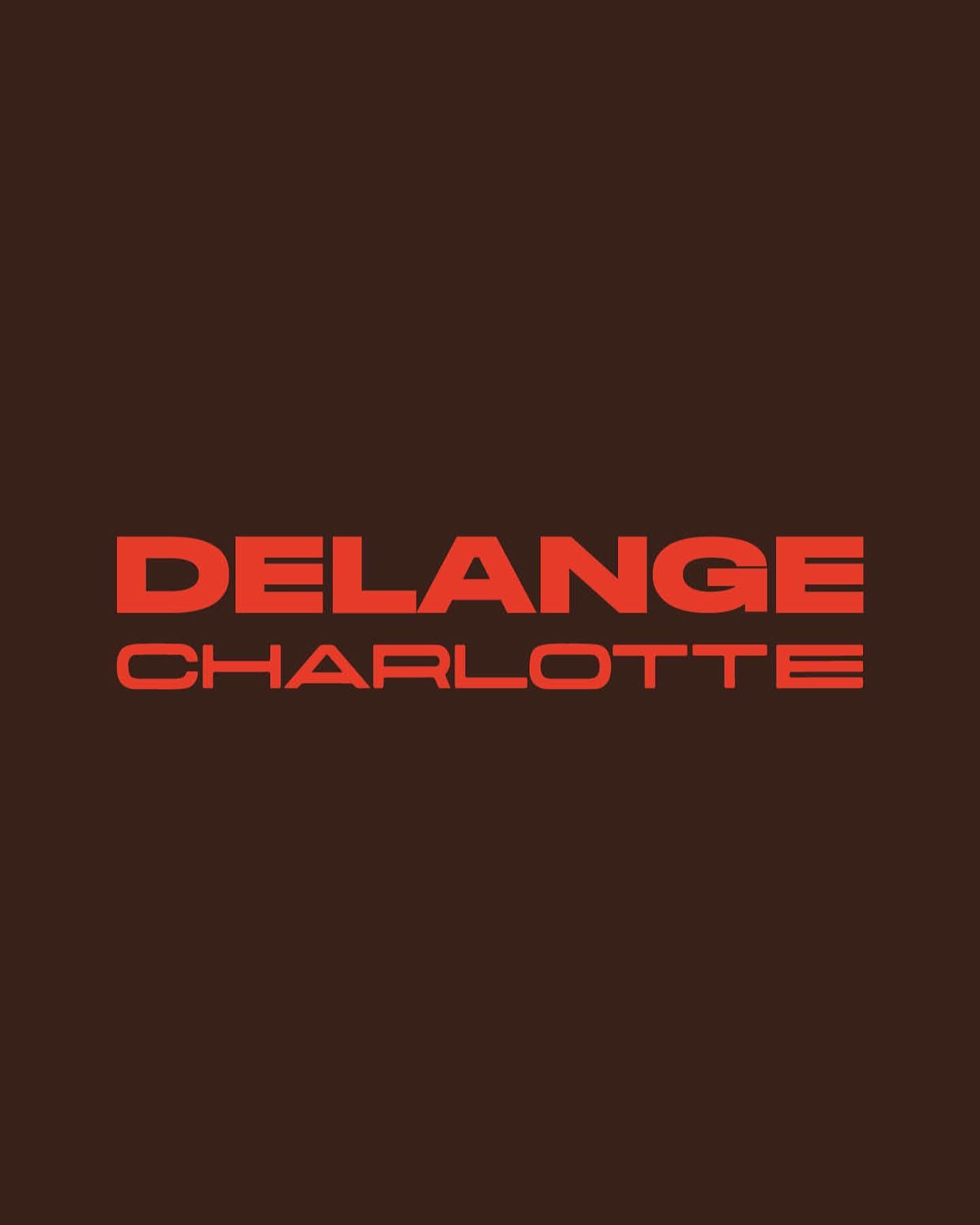 brand identity for @delangecharlotte. 
Fashion and lifestyle photographer from Antwerp.