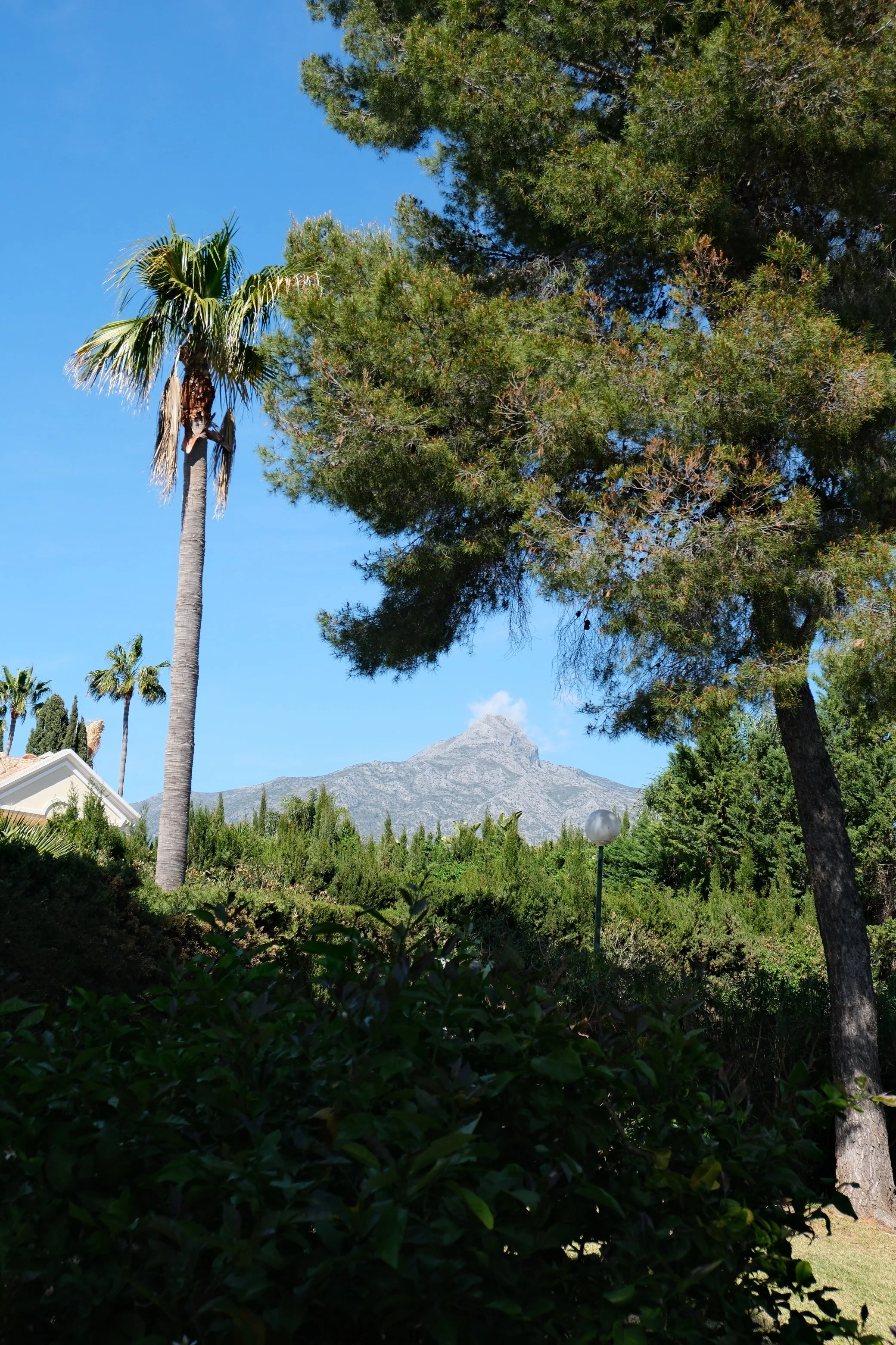 DSCF0242 2.JPG