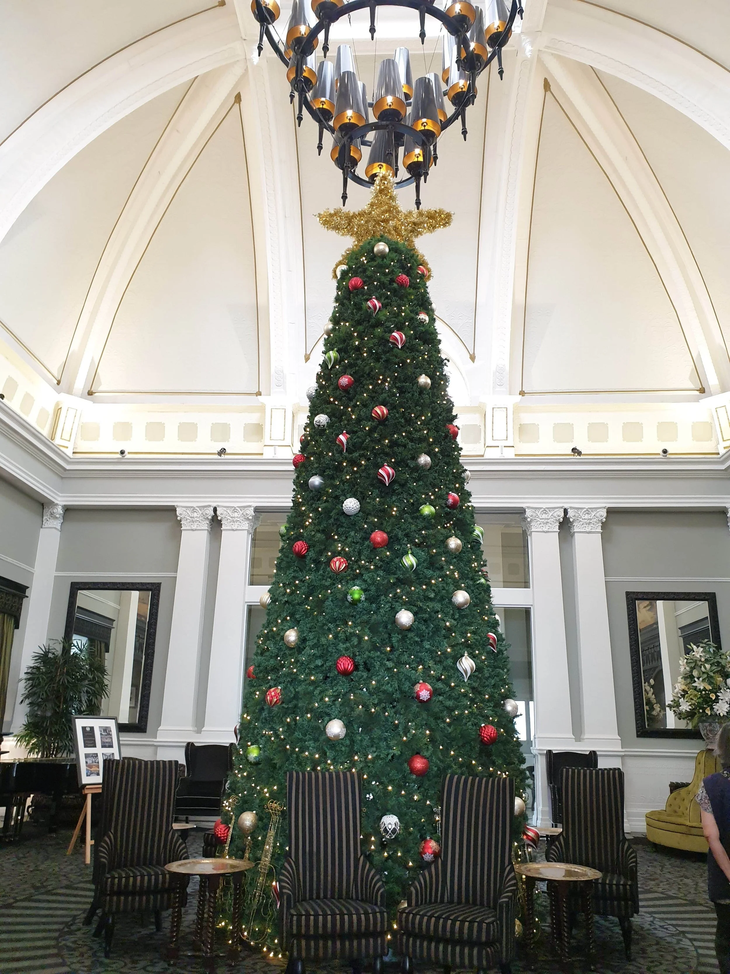 Christmas Tree at the Hydro majestic.jpg