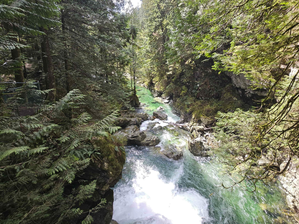 Lynn Canyon Park: An easy, affordable wilderness fix in Vancouver