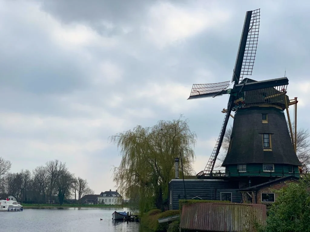Finding calm (and windmills) in Weesp, Amsterdam’s quiet neighbour