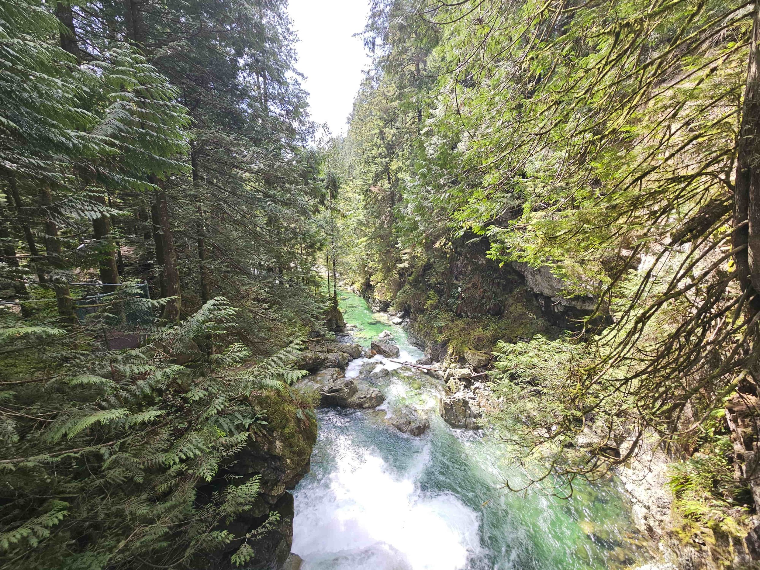 Lynn Canyon's crystal clear waters and greenery.