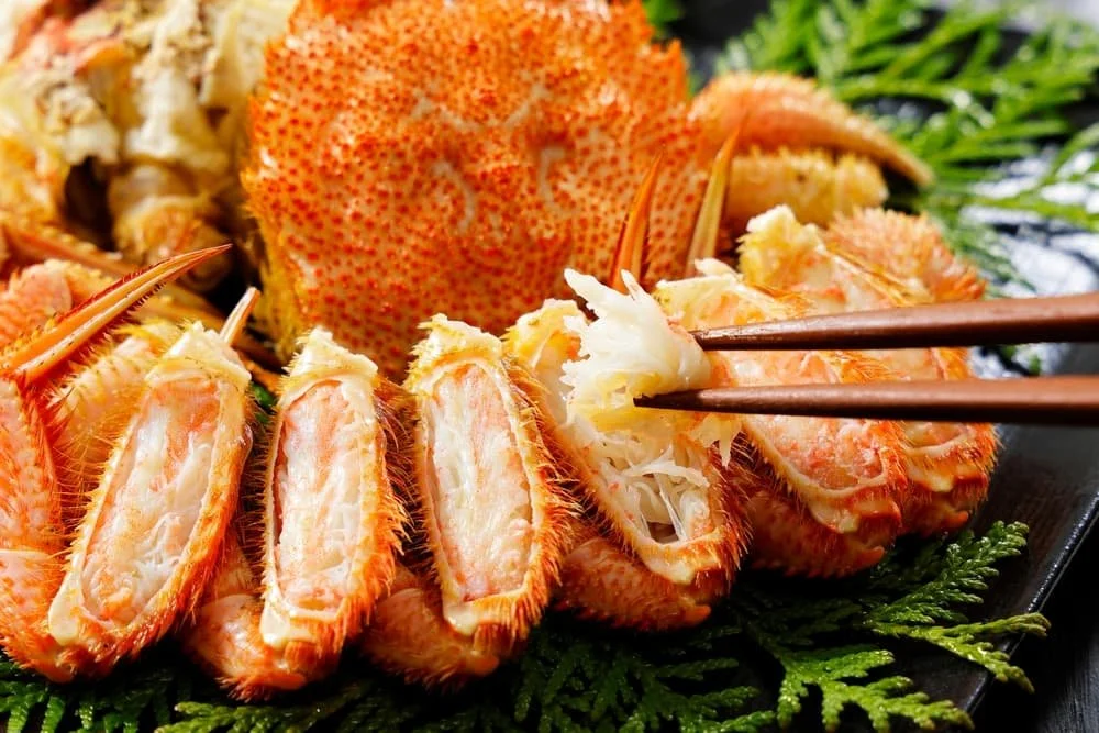 best food travel destinations