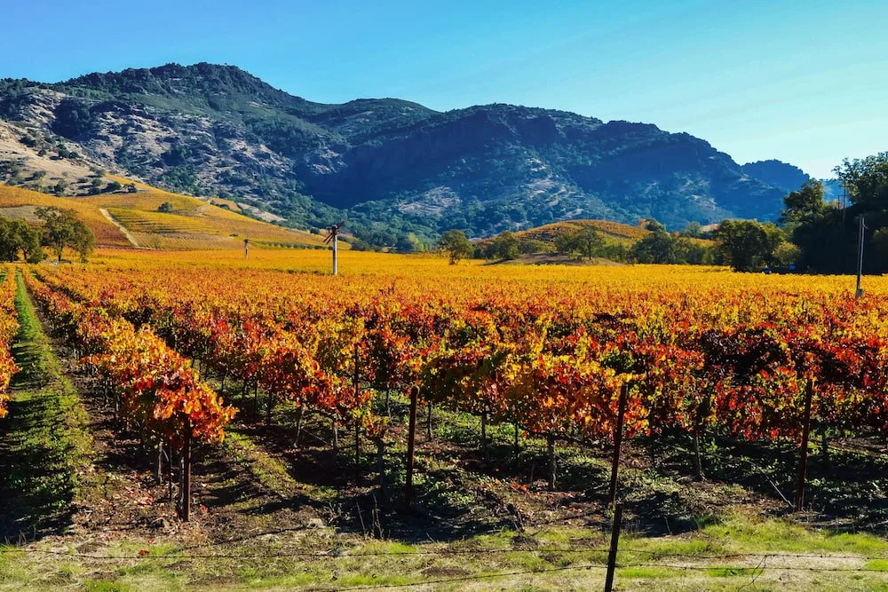 fall-trip-inspiration napa valley ca usa.jpg