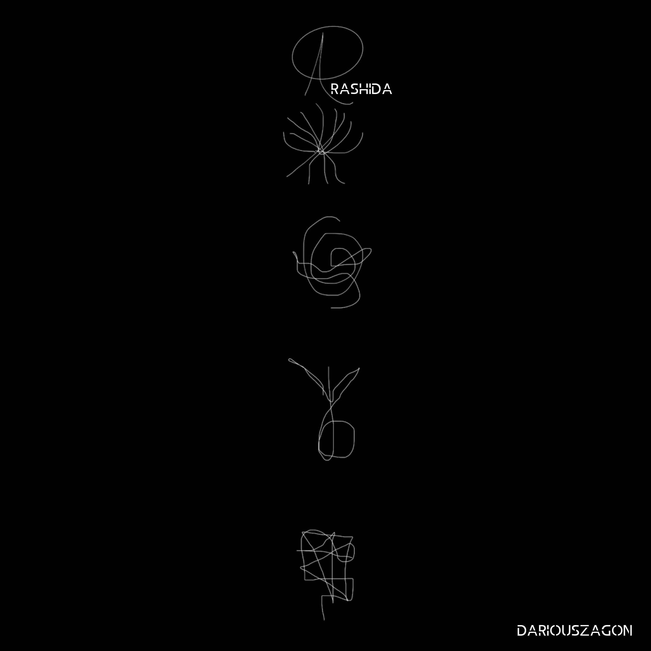 Rashida Light code.PNG