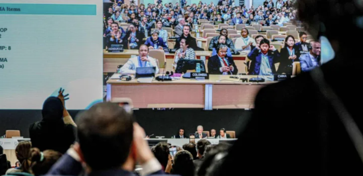 COP29 special edition: Halfway through the summit, here’s what you need to know, Devex