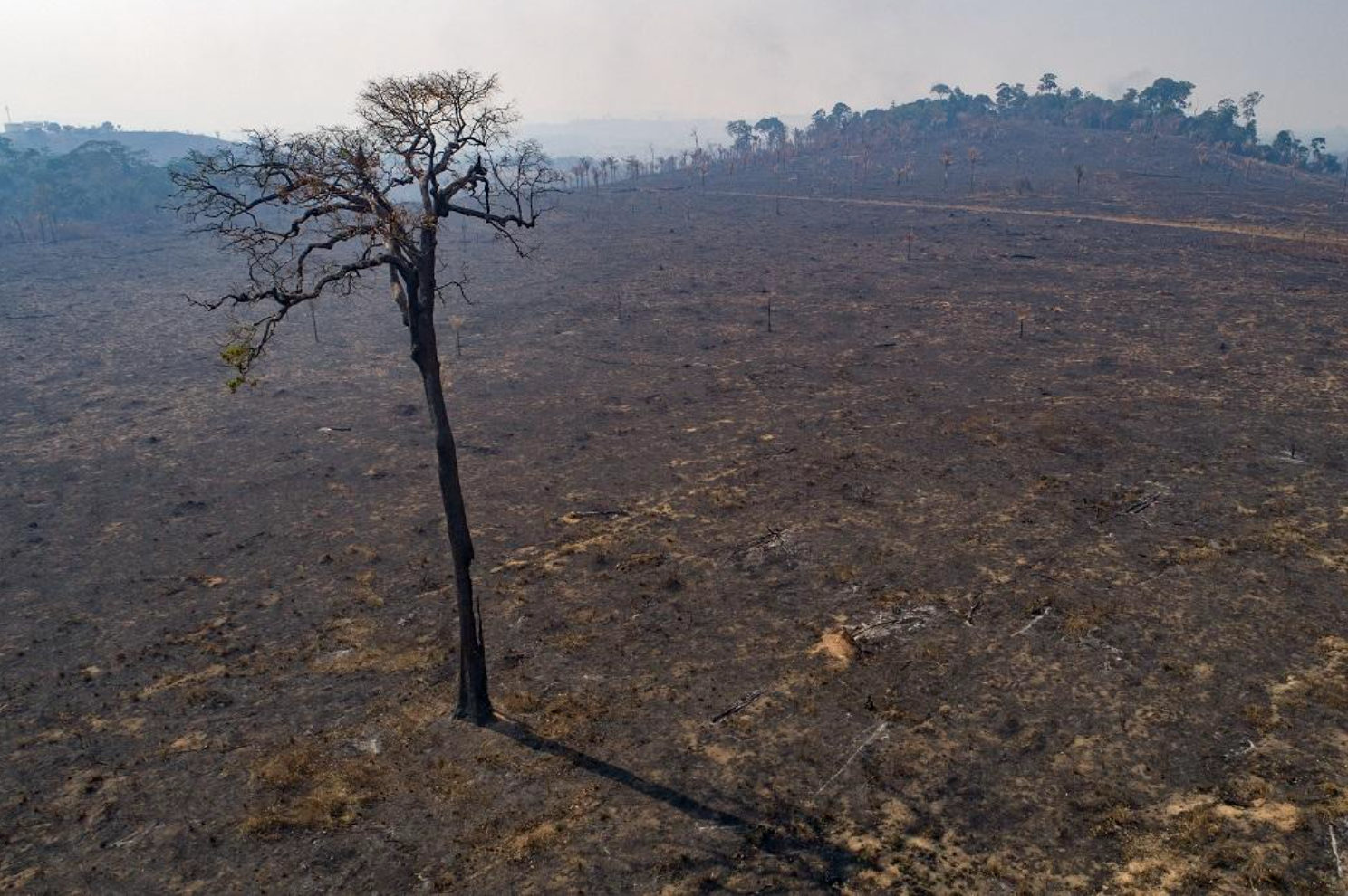 The U.N. Wants to Criminalize Climate Change, The American Prospect