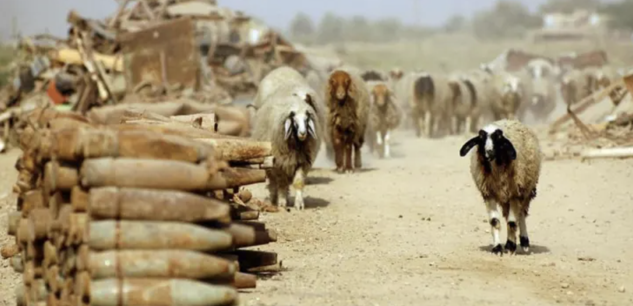 As climate aid dries up, experts warn that extremism is likely to rise, Devex