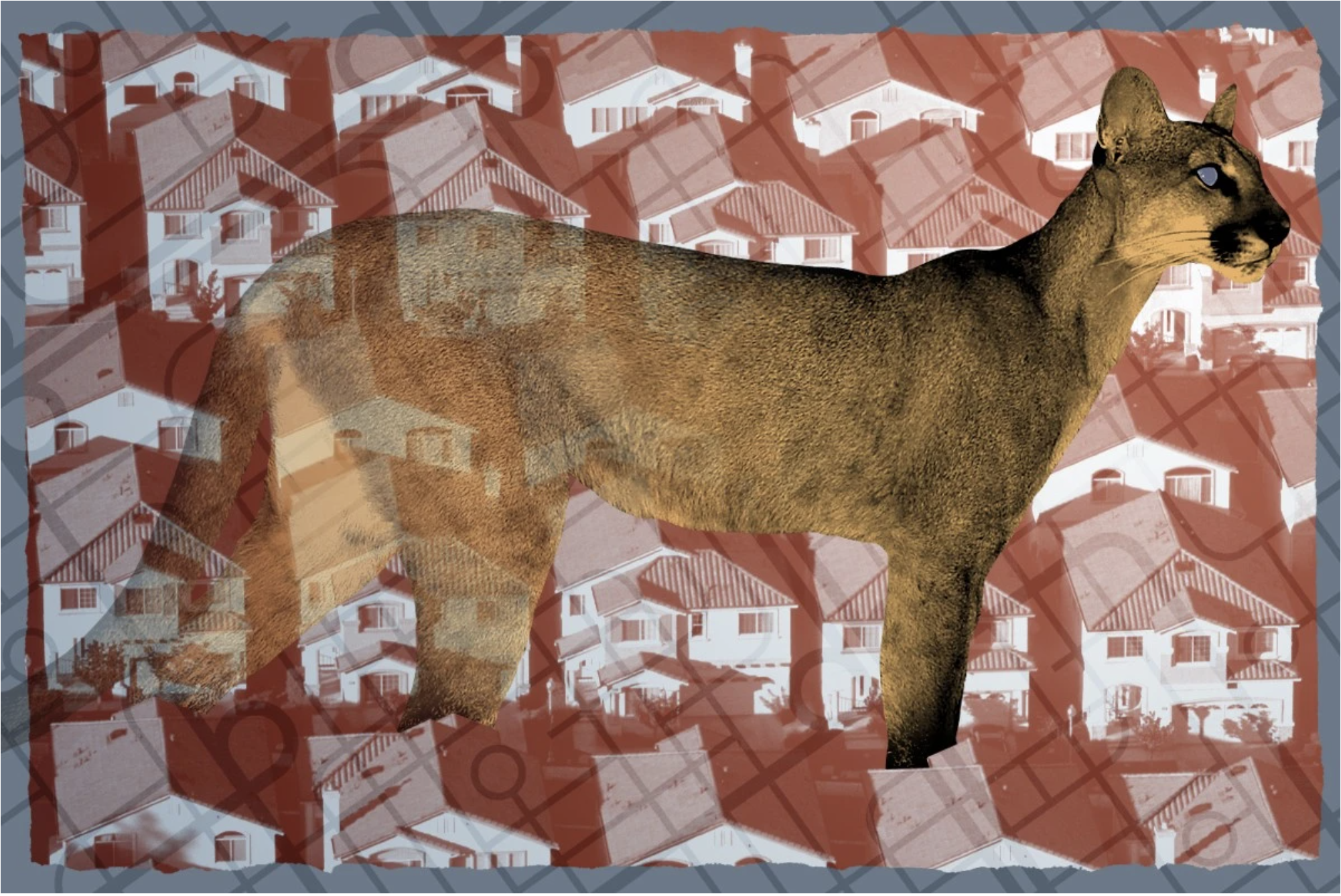 Florida’s Environmentalists Are Waging War — Against Each Other, Heatmap News