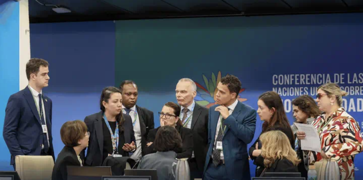 Circus minimus: What happened at COP16 2.0 in Rome, Devex