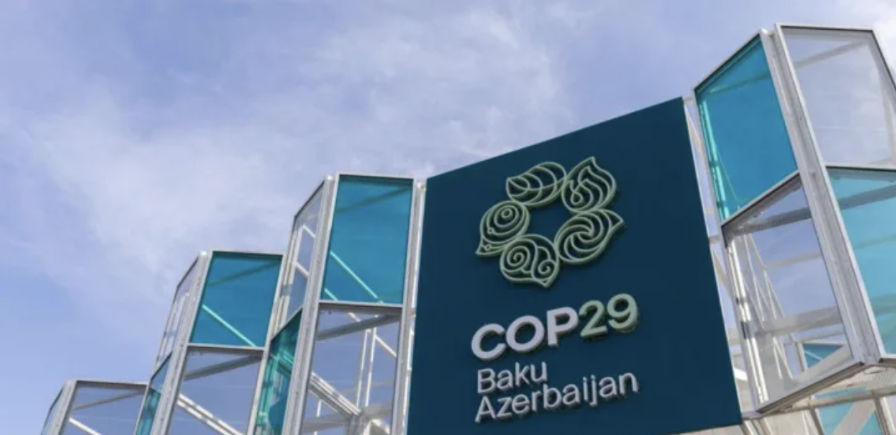 COP29 special edition: Halfway through the summit, here’s what you need to know, Devex
