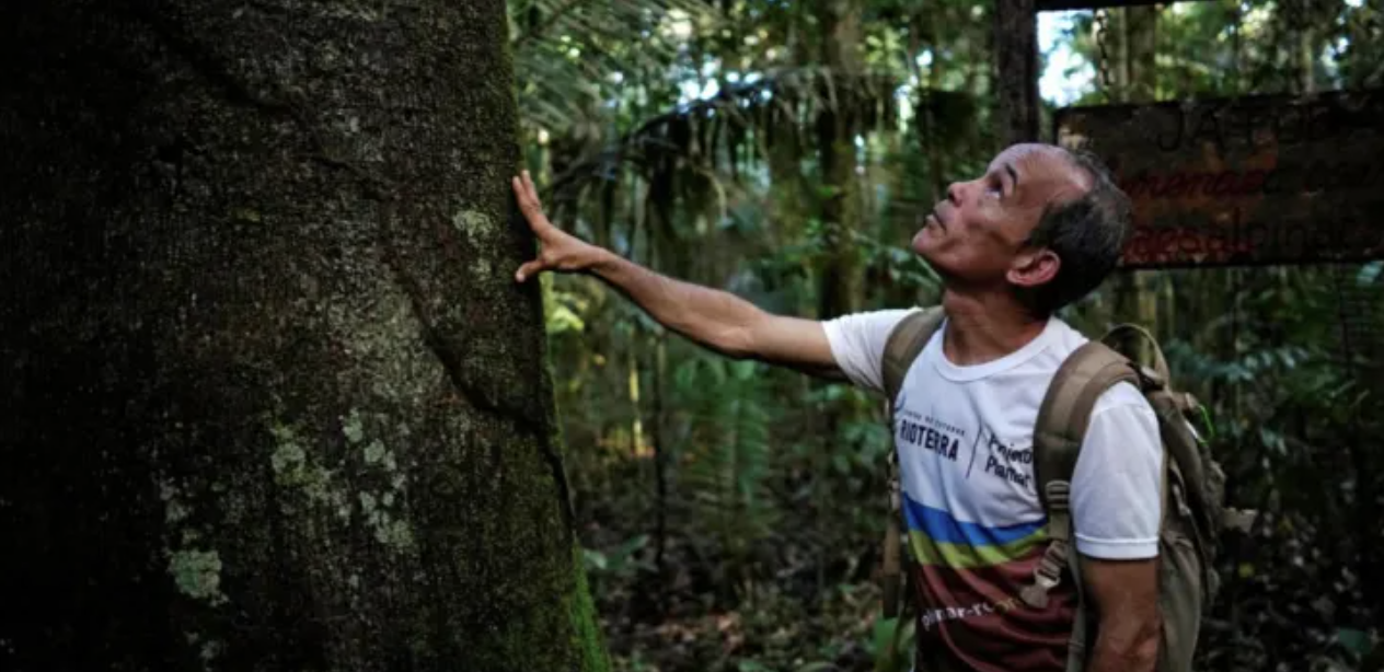 Scoop: Brazil hammers out details of forest fund ahead of COP30, Devex