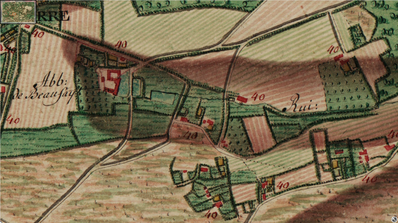 Ferraris (002).png