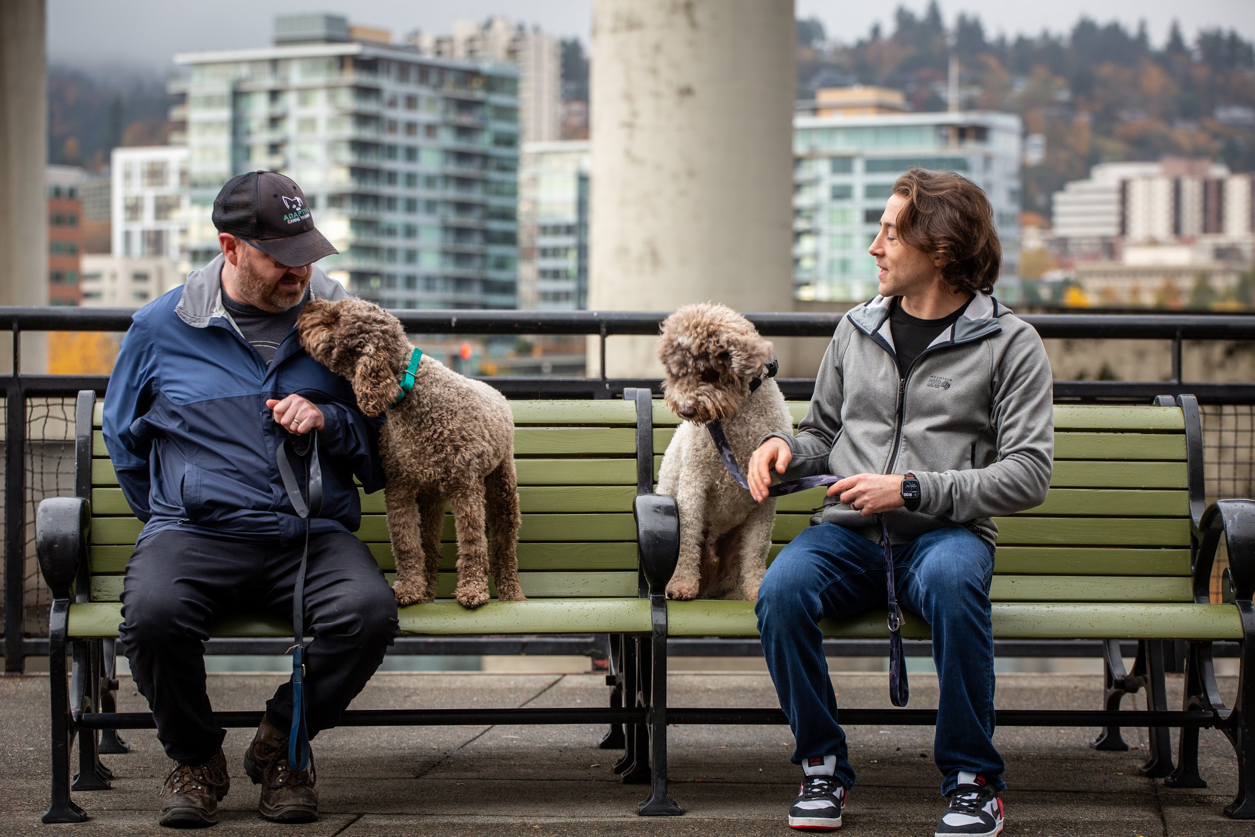 Training Is On-Going: Your Dog’s Progress Depends on You