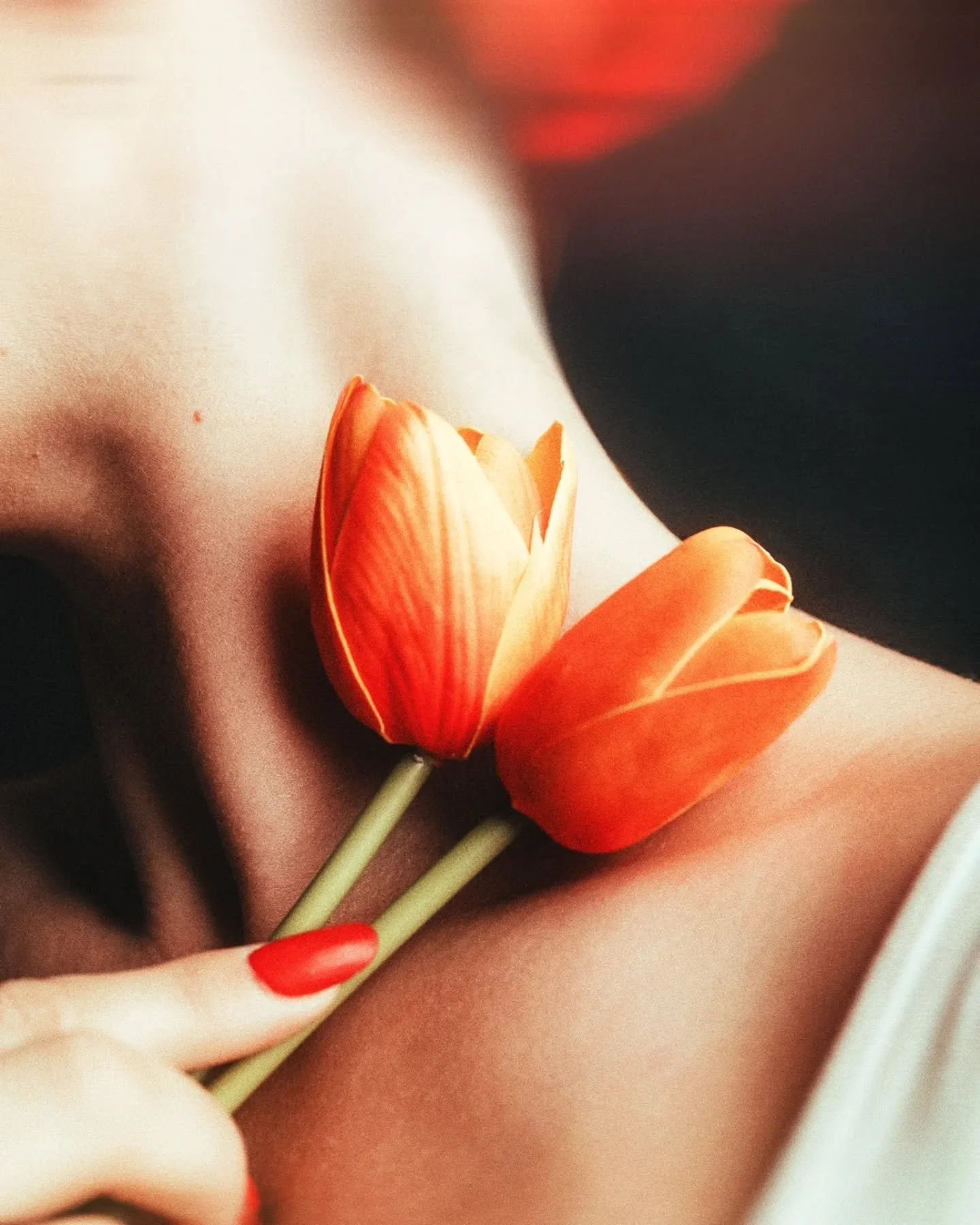 Flowers.
@modele.with.soul 
#flowers #tulipes #fineartphotography #prints