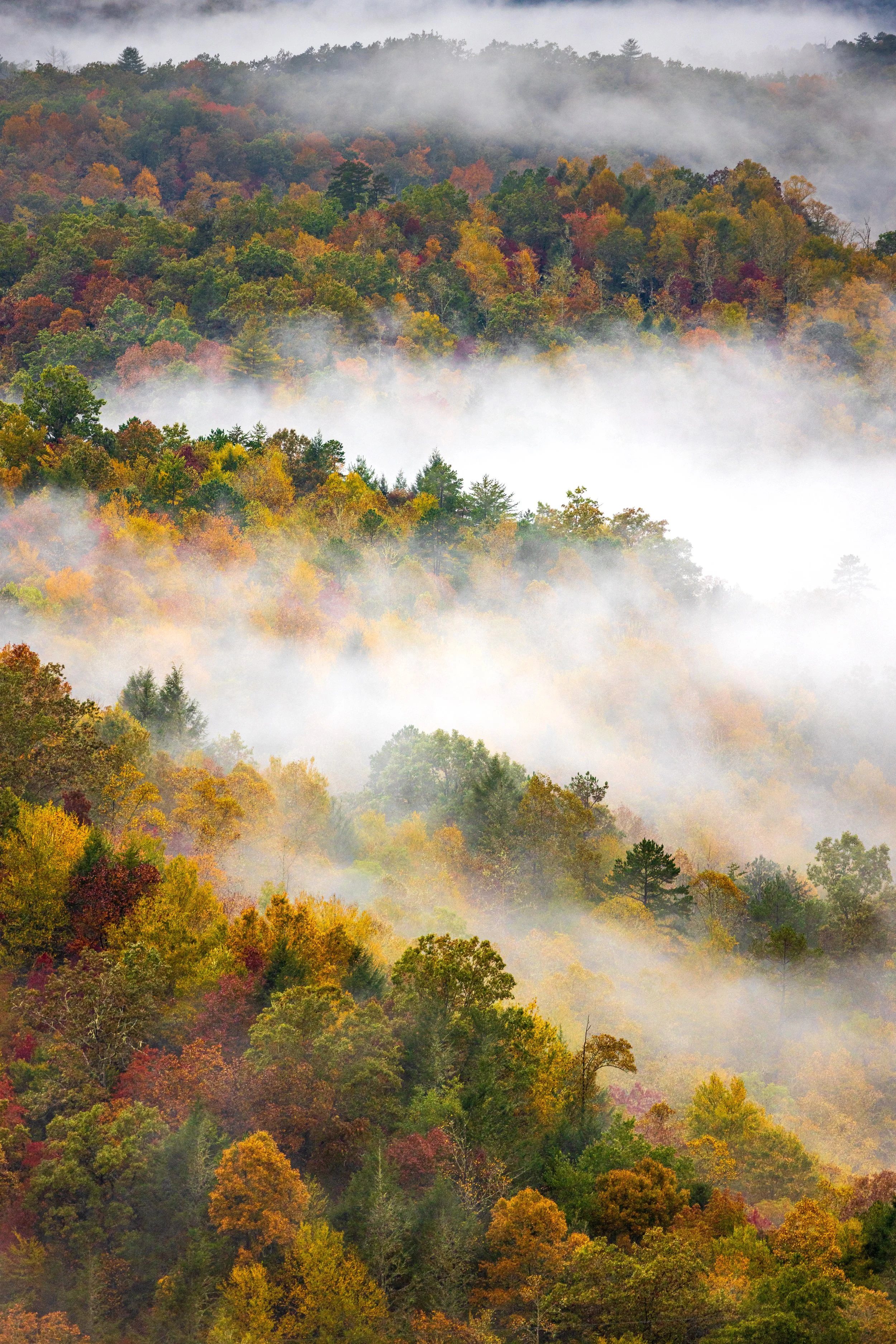 the misty mountains.JPG