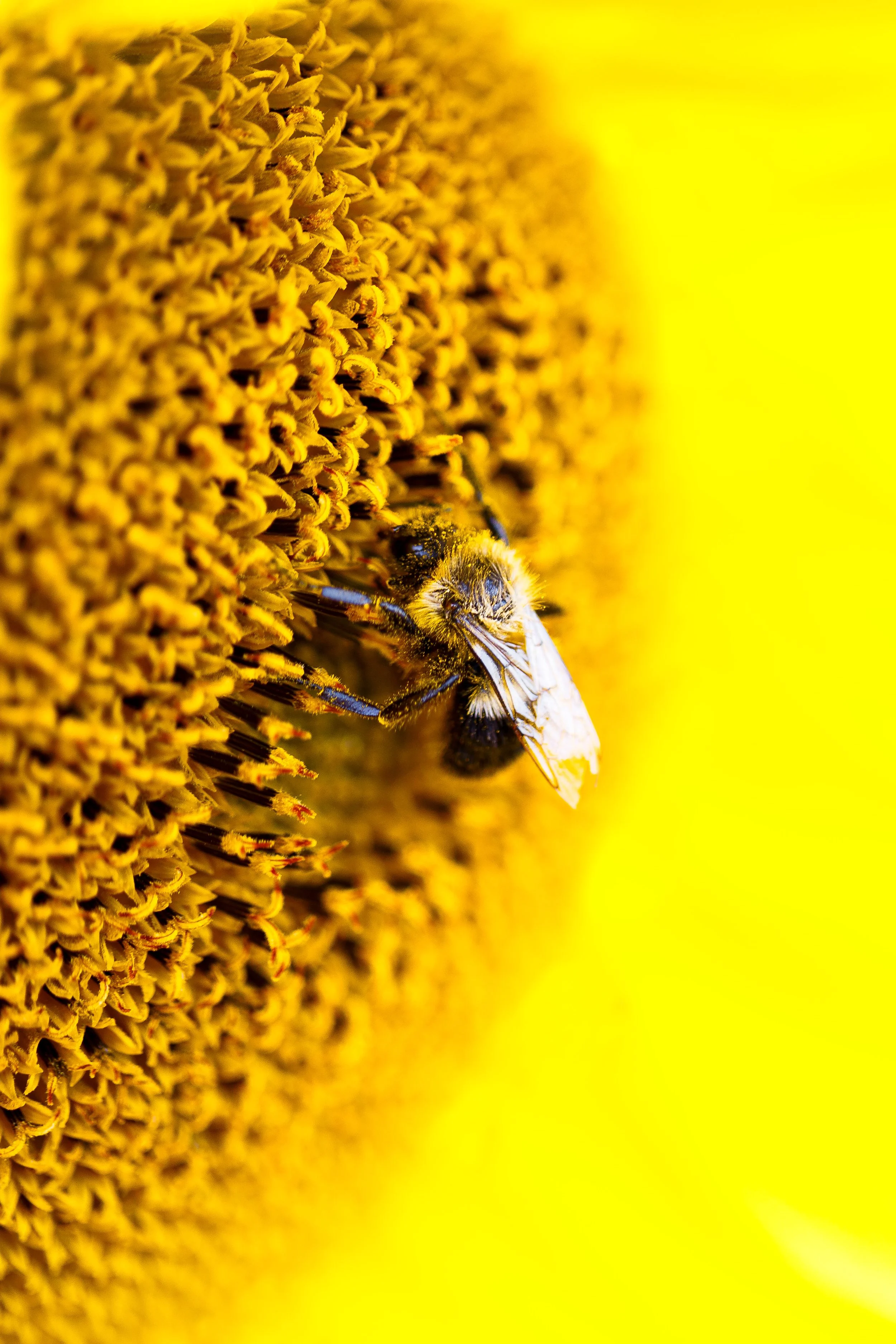 walking on the sun.JPG