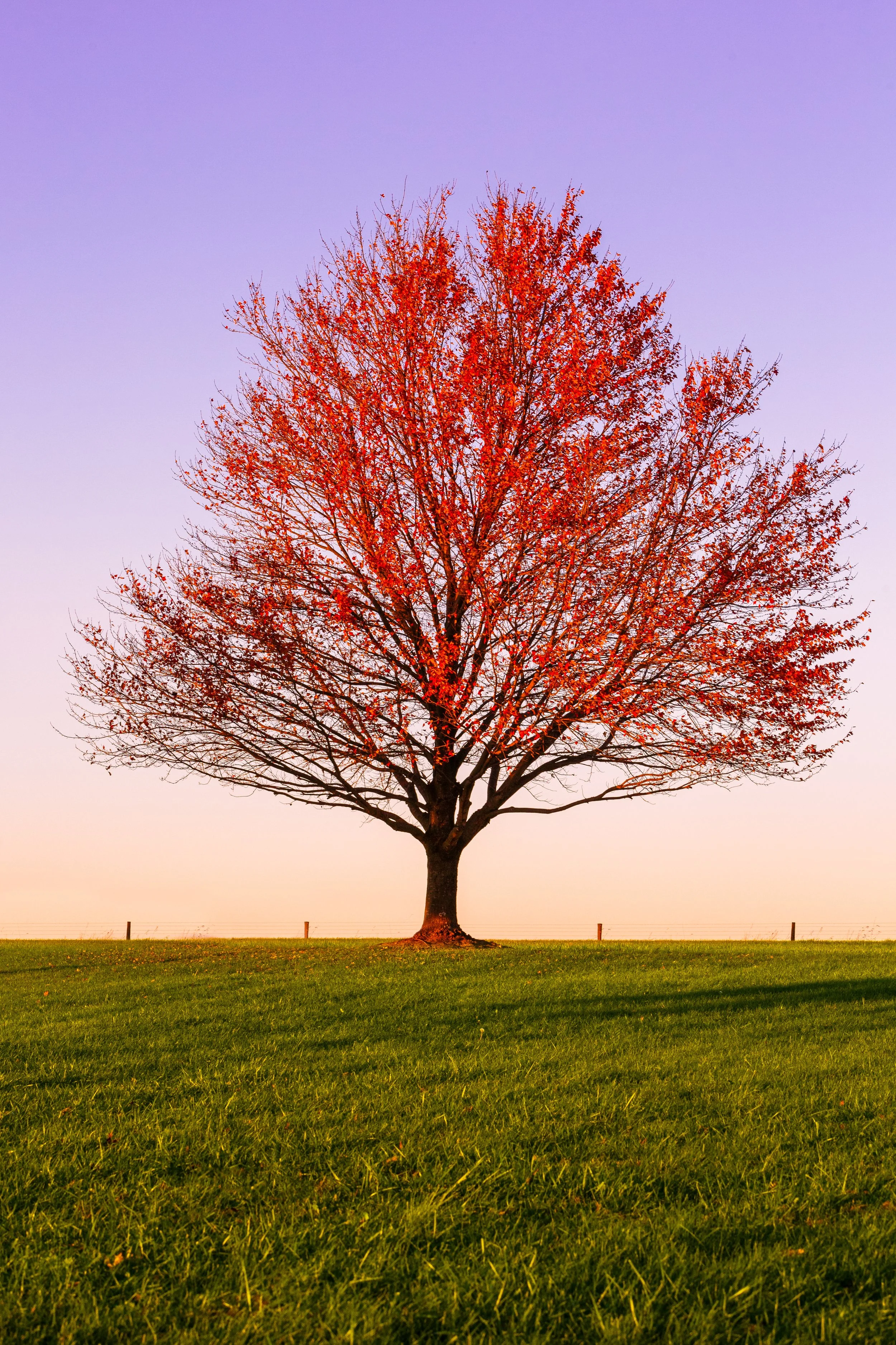 through a mirror darkly.JPG