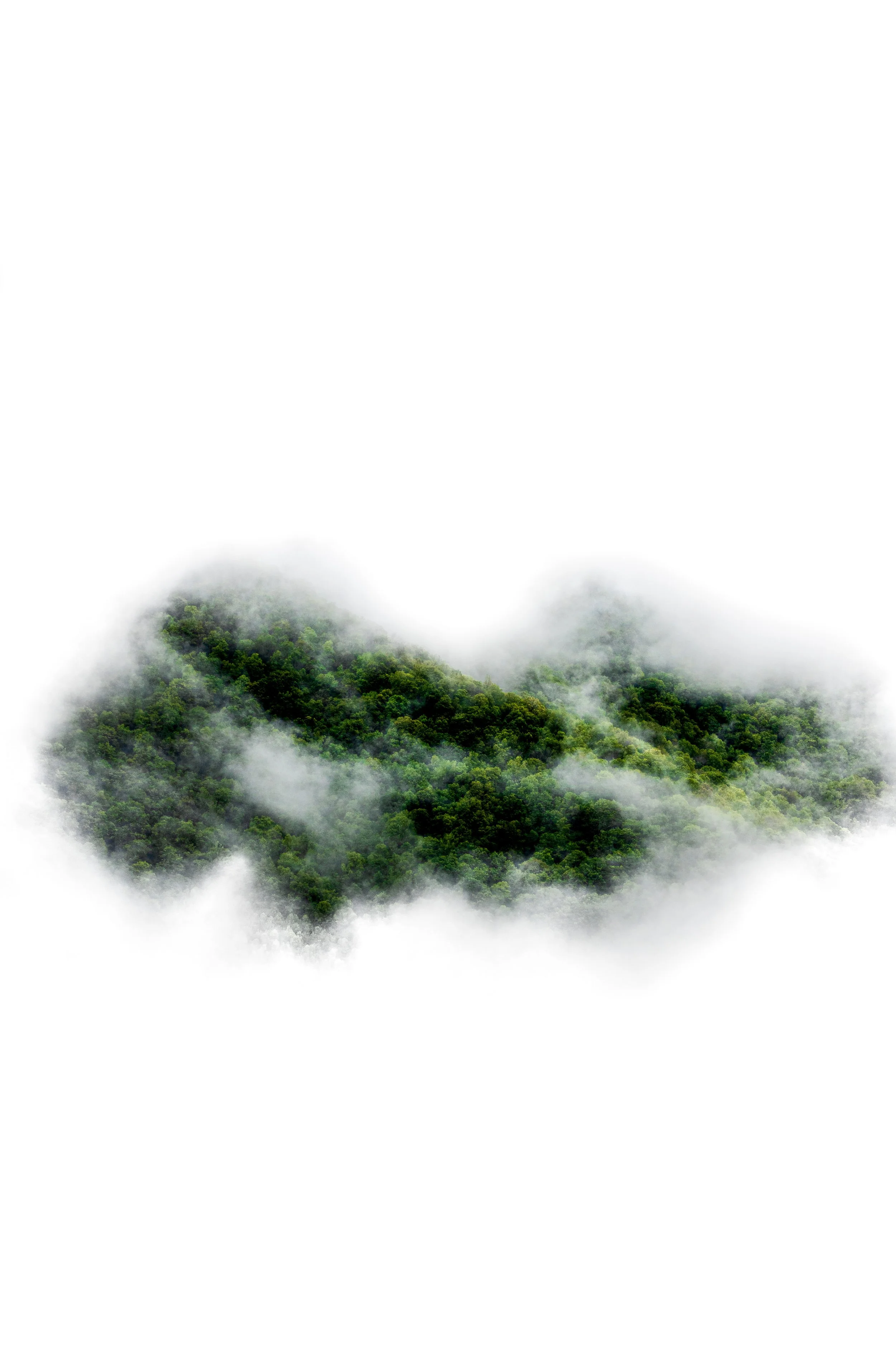lost in the clouds.JPG