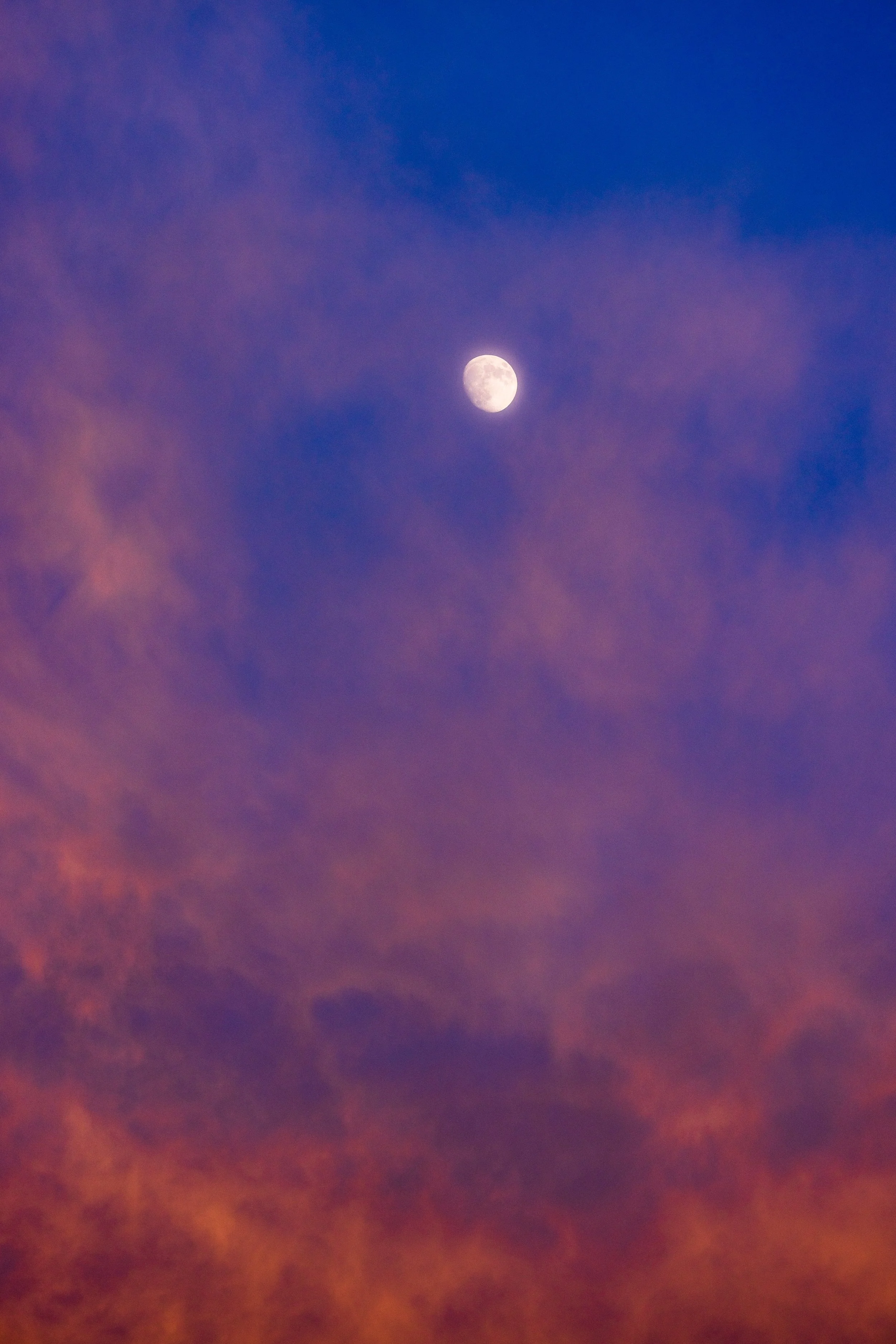 the world on fire.JPG