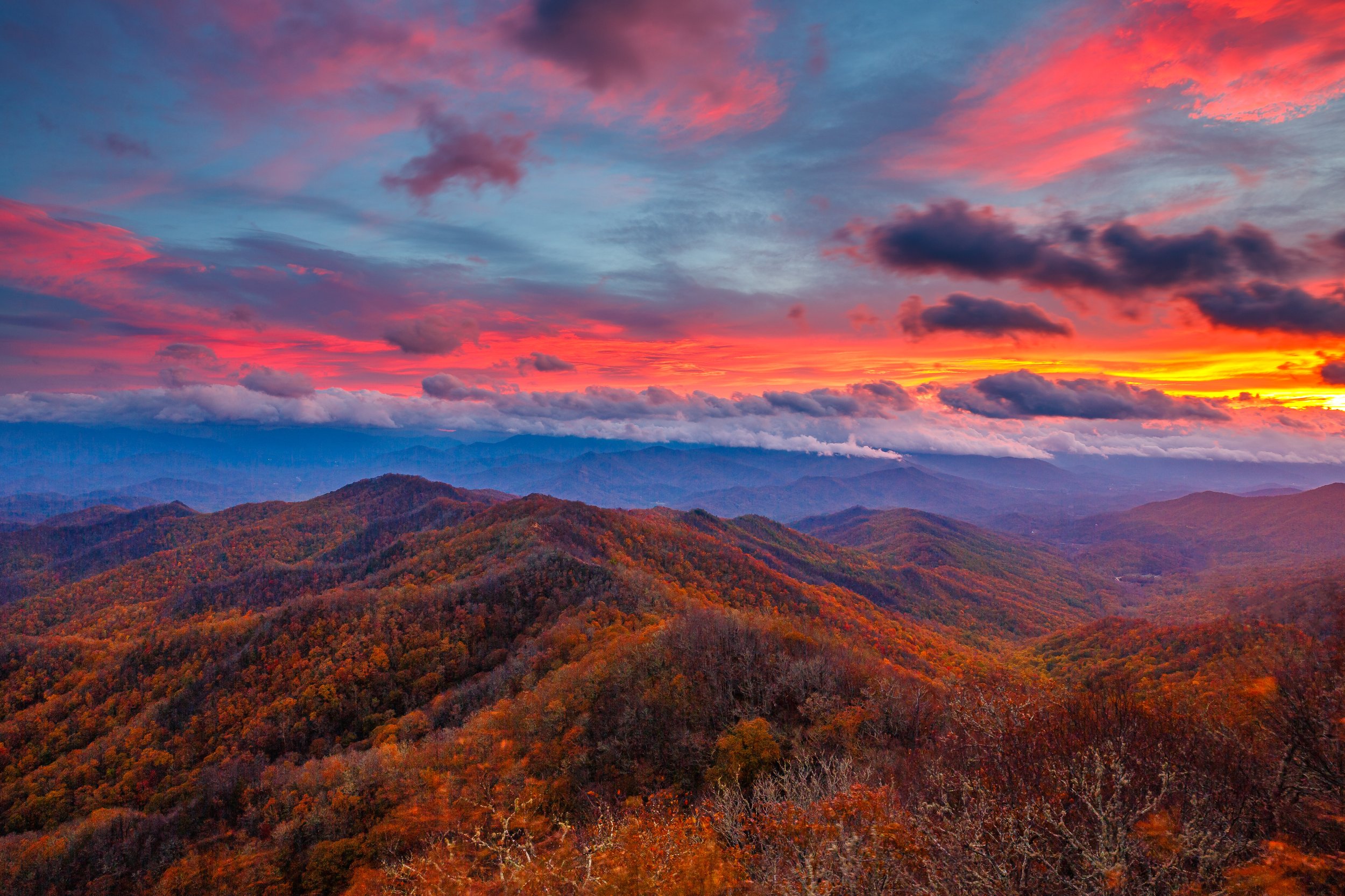 it's my birthday.JPG