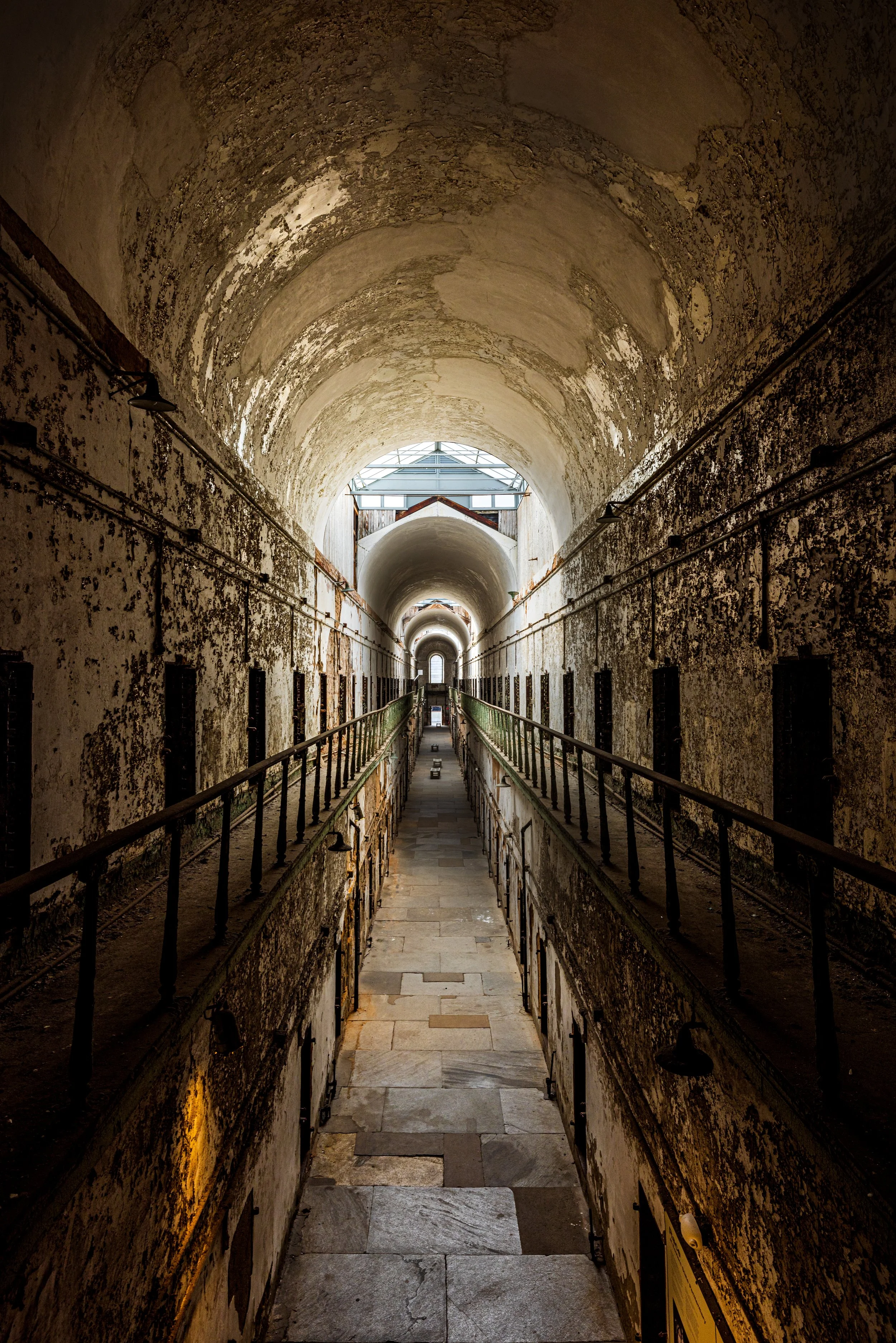 birdman - 3_231825.JPG