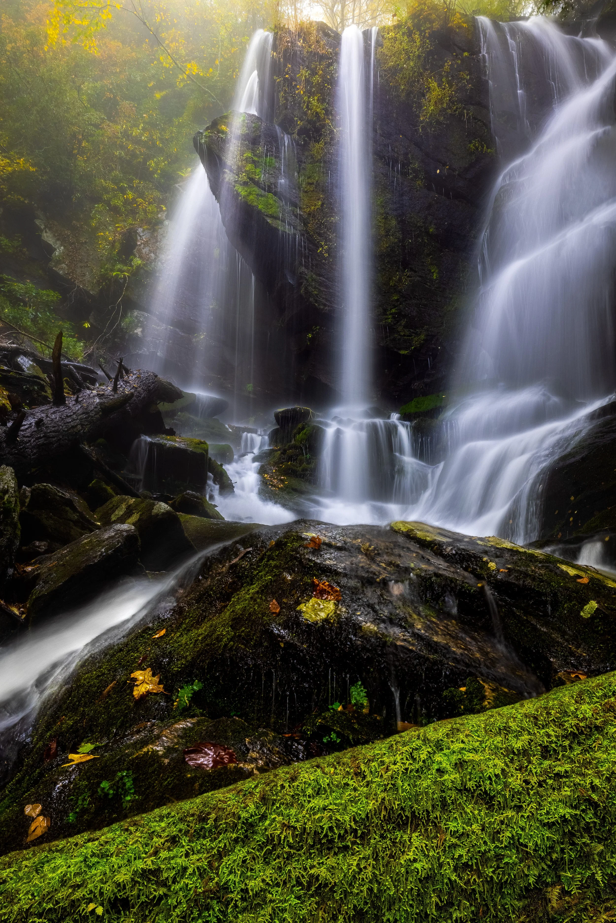 winter is coming.JPG