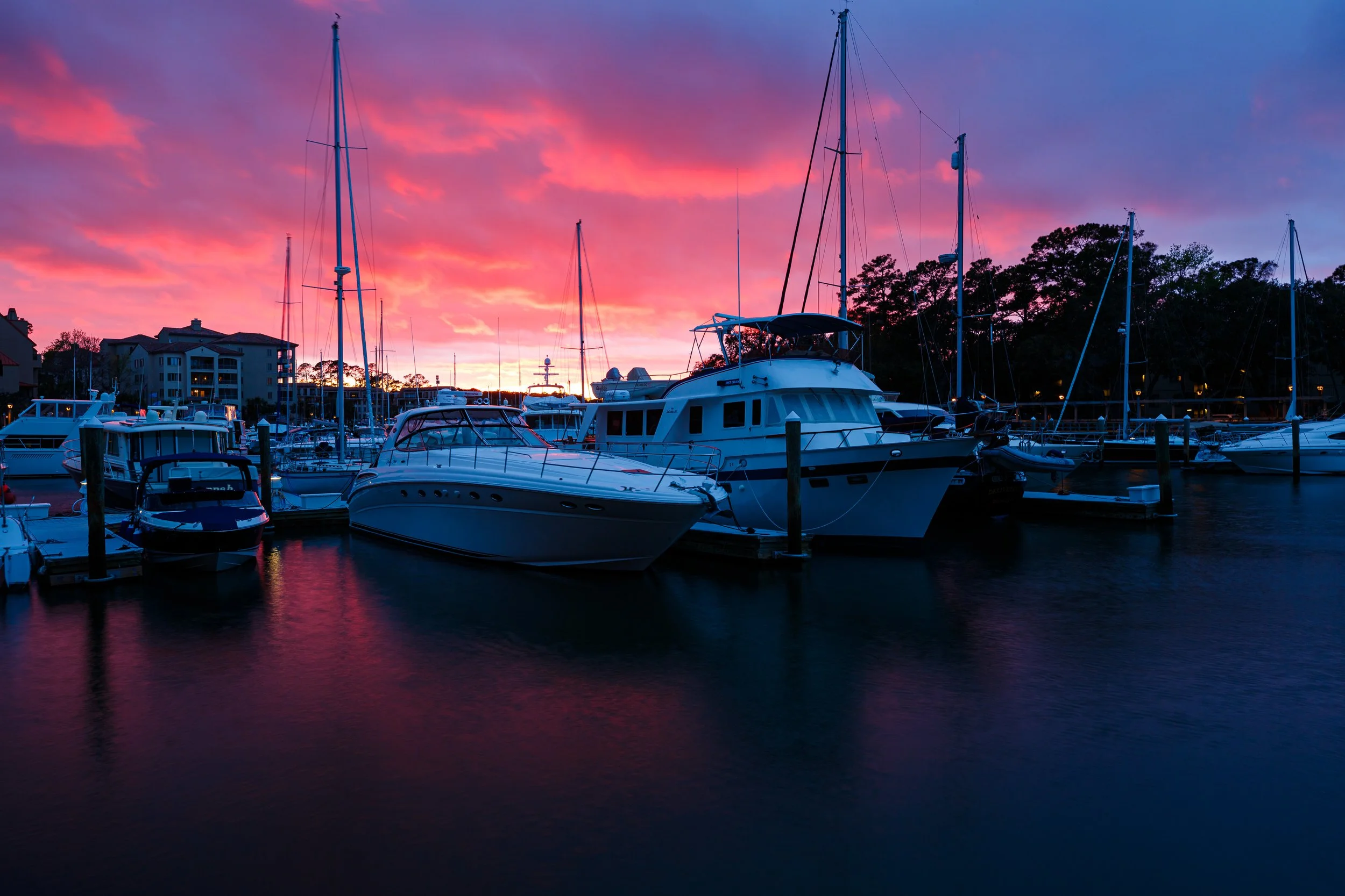 sailor's delight.JPG