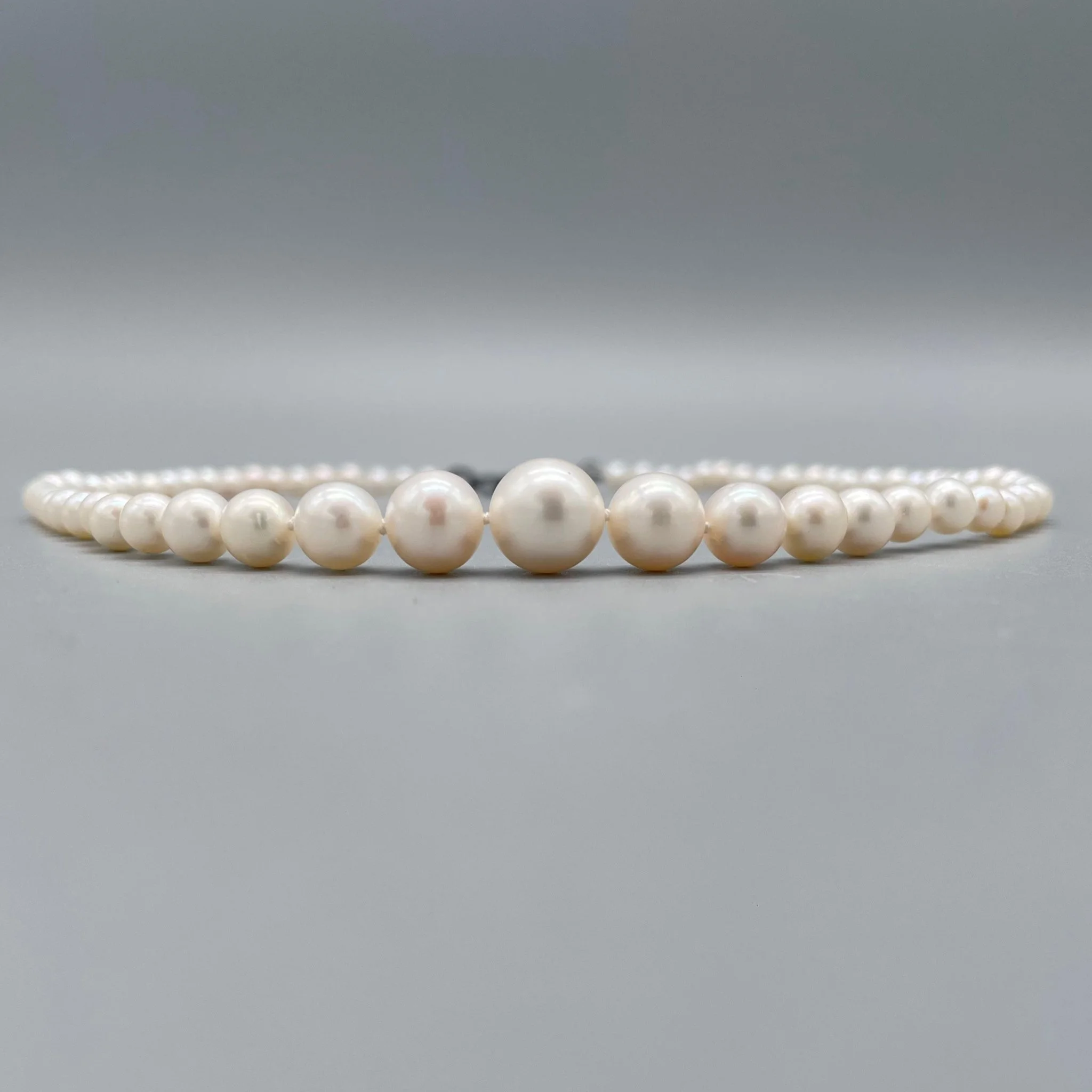 
Per informazioni e ordini → WhatsApp