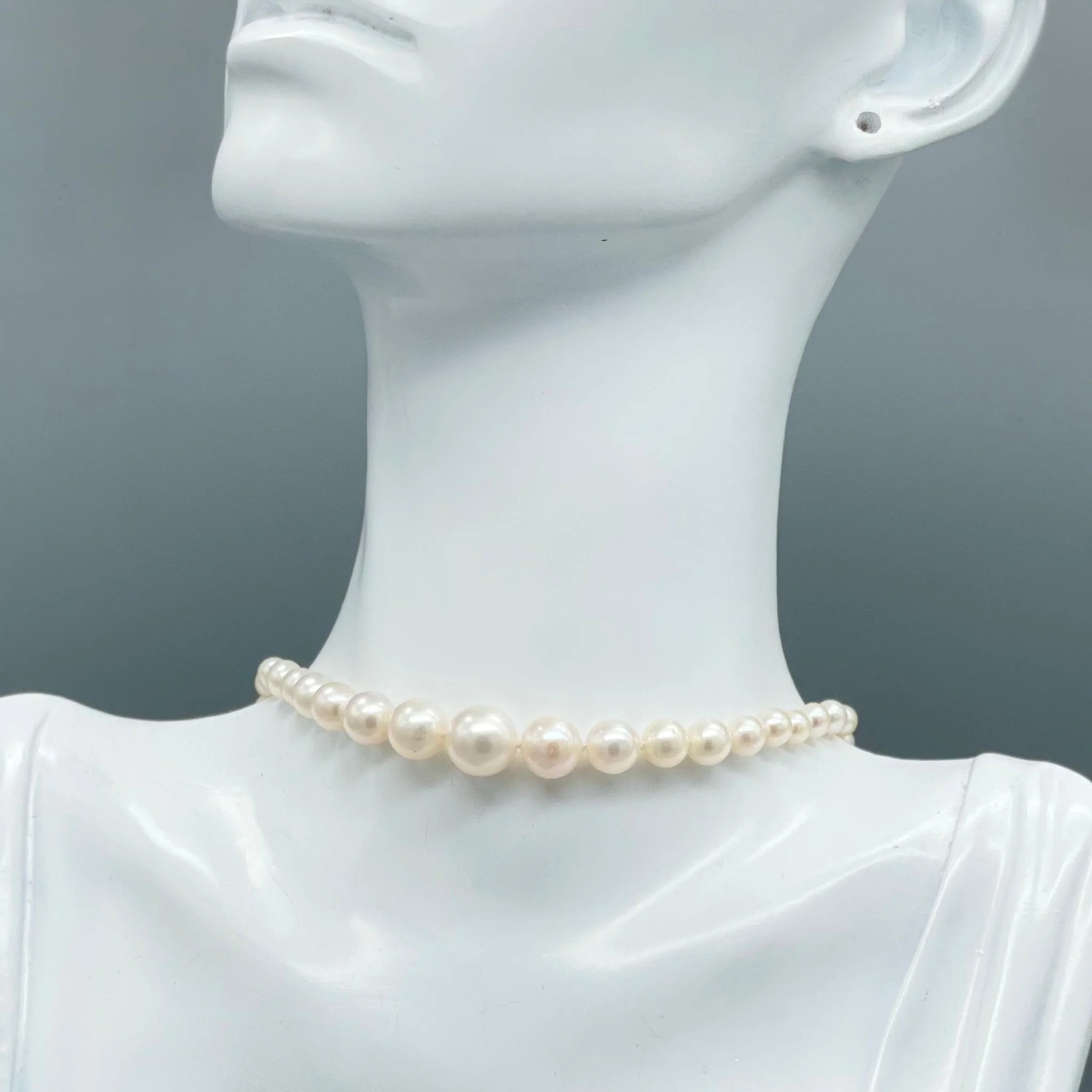 Per informazioni e ordini → WhatsApp