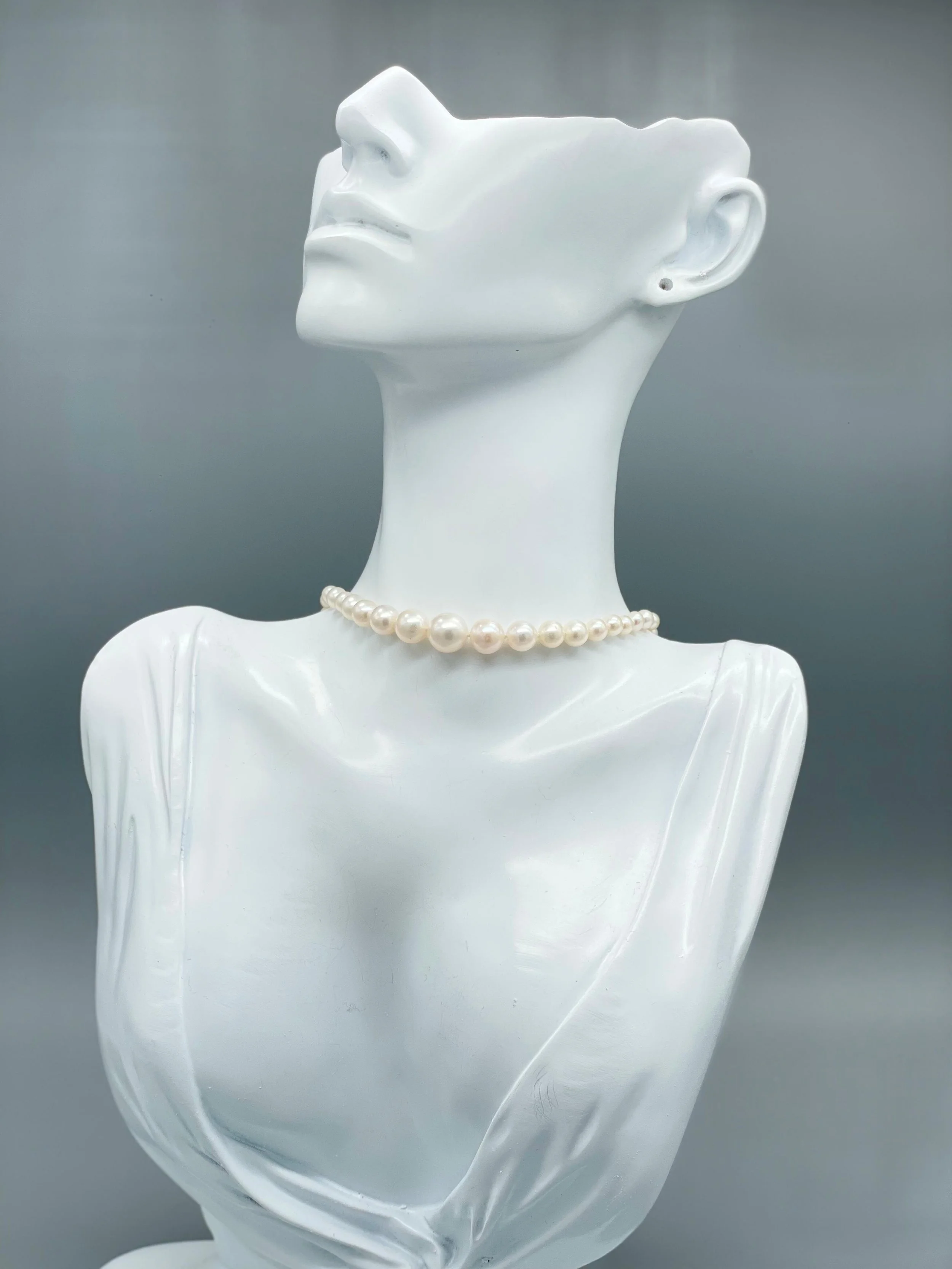 
Per informazioni e ordini → WhatsApp