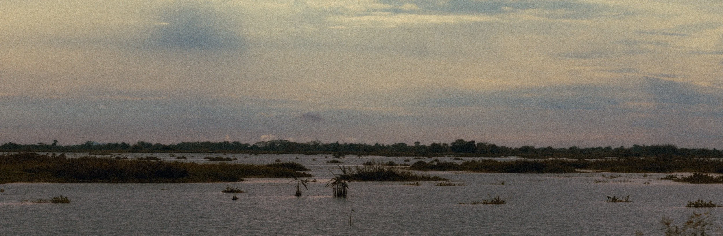 A marshland scene with water, low vegetation, and a cloudy sky at dusk or dawn