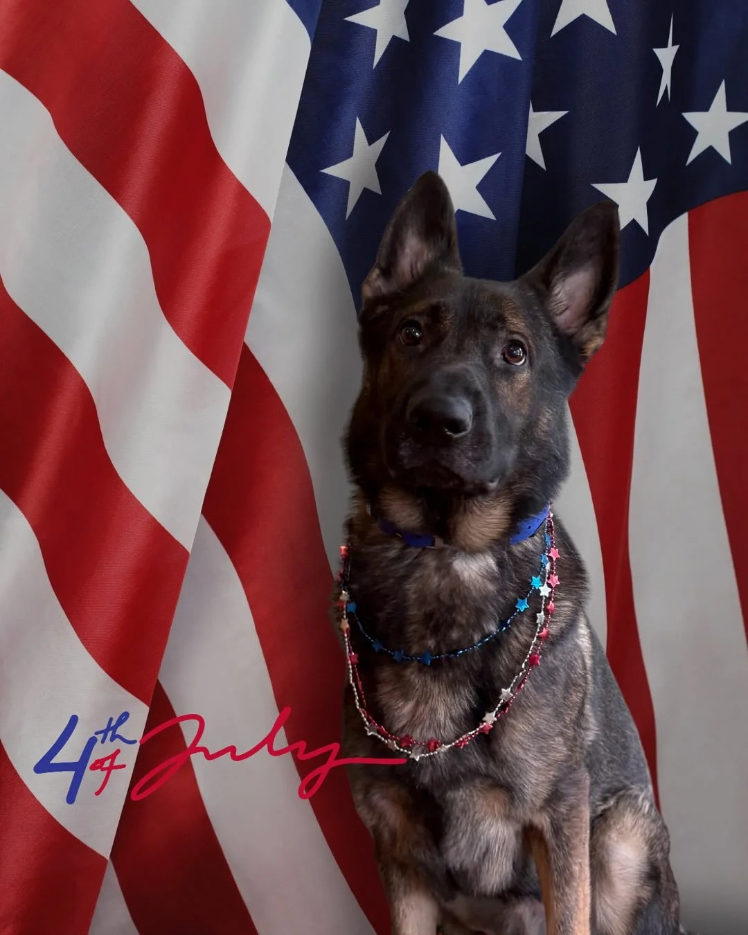 Freedom Friday everyone! Happy Fourth of July!