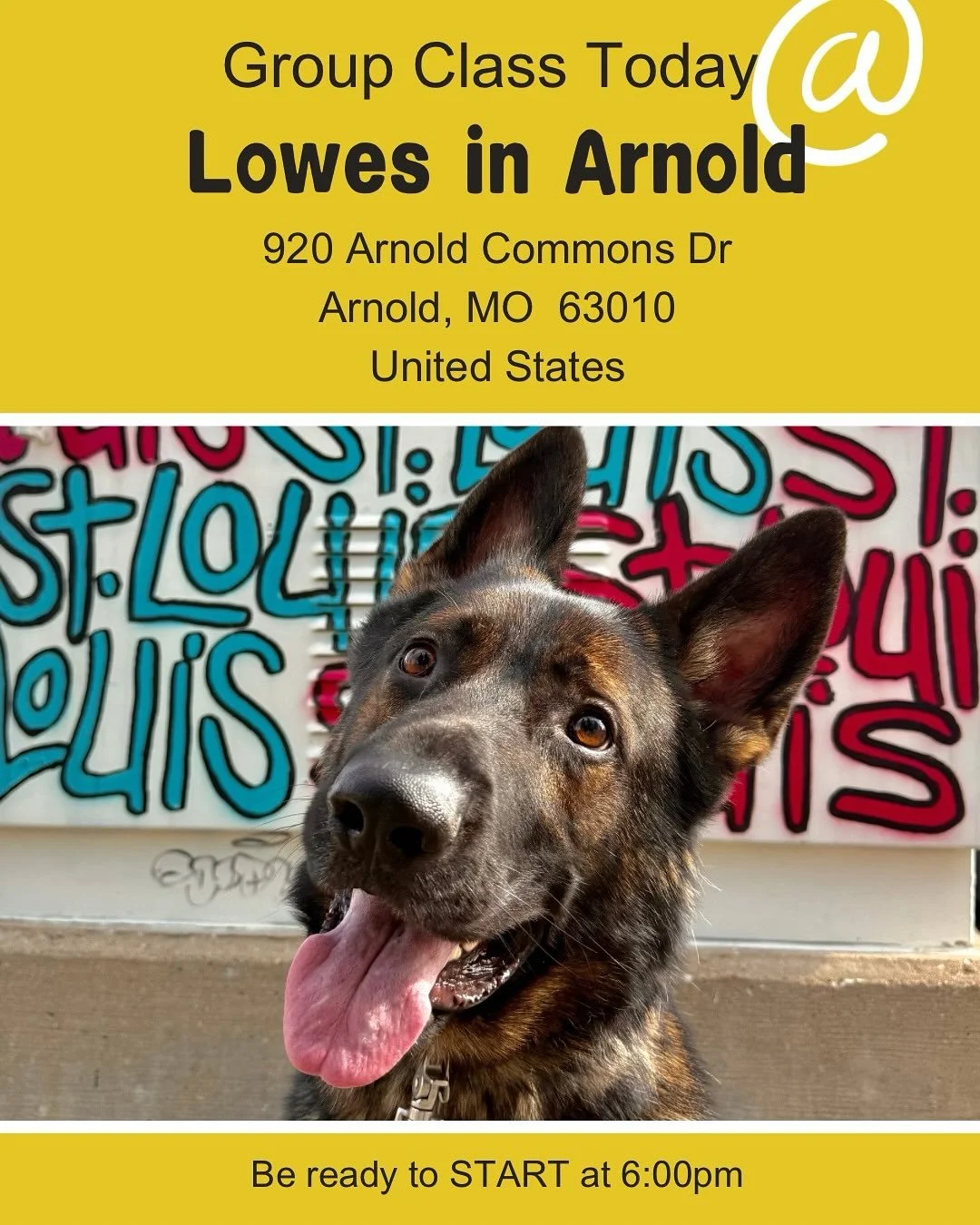 GROUP CLASS DAY!

Today we will meet in front of the garden section at the Arnold Lowe&rsquo;s. No long lines needed but please break your dog before class starts to prepare for moving indoors.