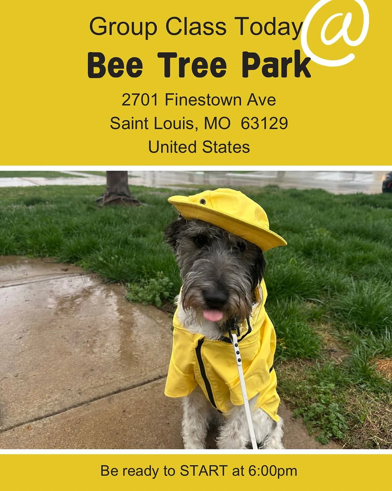 We will meet down by the pond. Today&rsquo;s class will include quite a bit of walking so wear good shoes, bring water, and poop bags.

If you have any questions please text!