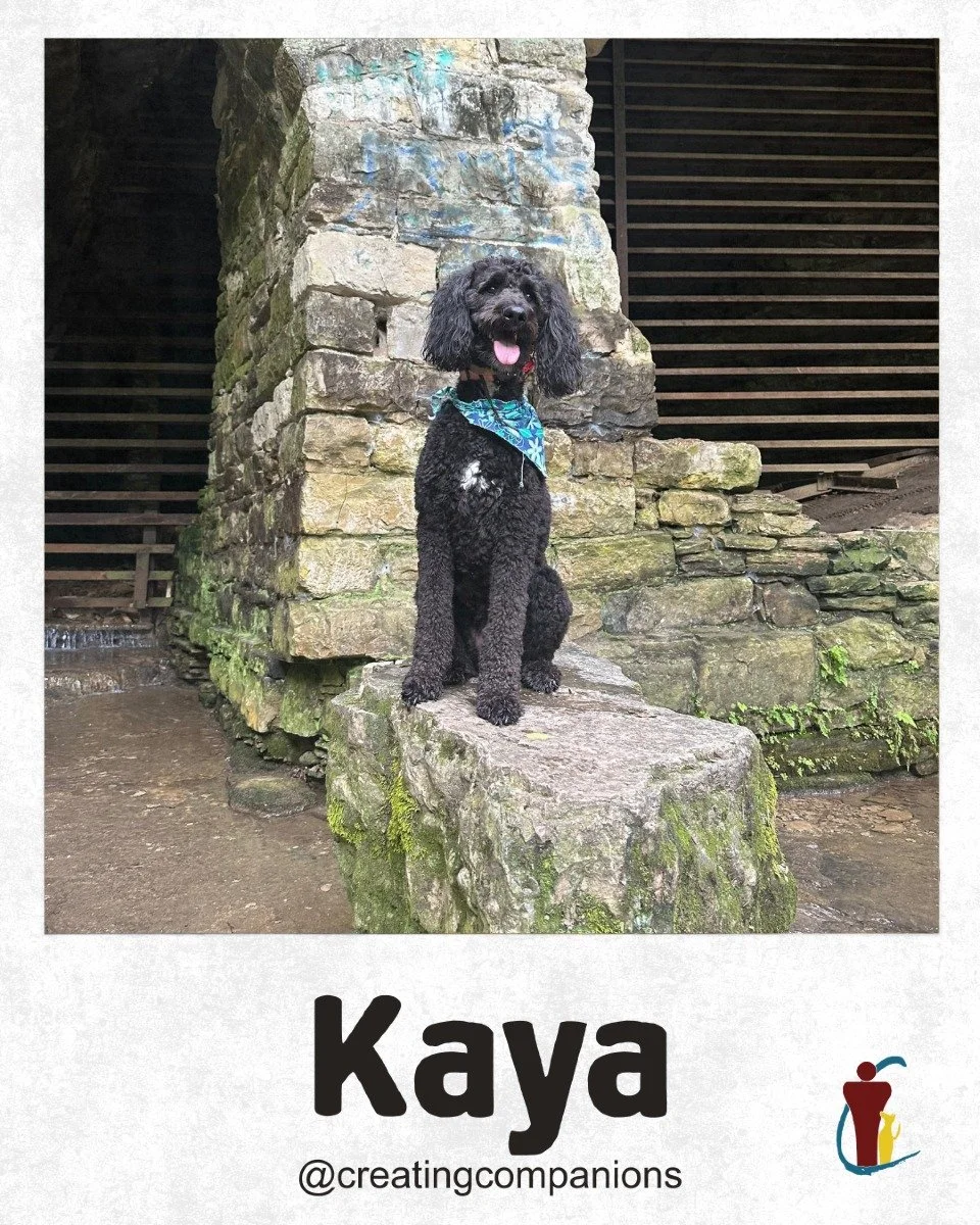 Kaya and Phoebe have been day school regulars and become great friends through the program!