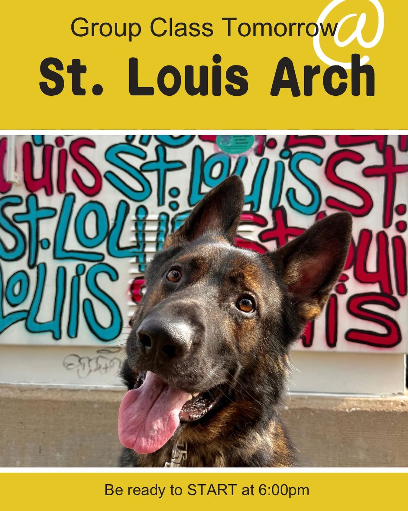 LAST GROUP CLASS
of the season!

Make sure you allow yourself extra time today for parking and walking to the Arch. We will be starting on the grass near the Arch at 6:00. We will be taking photos of us and the dogs so if you have a Creating Companio