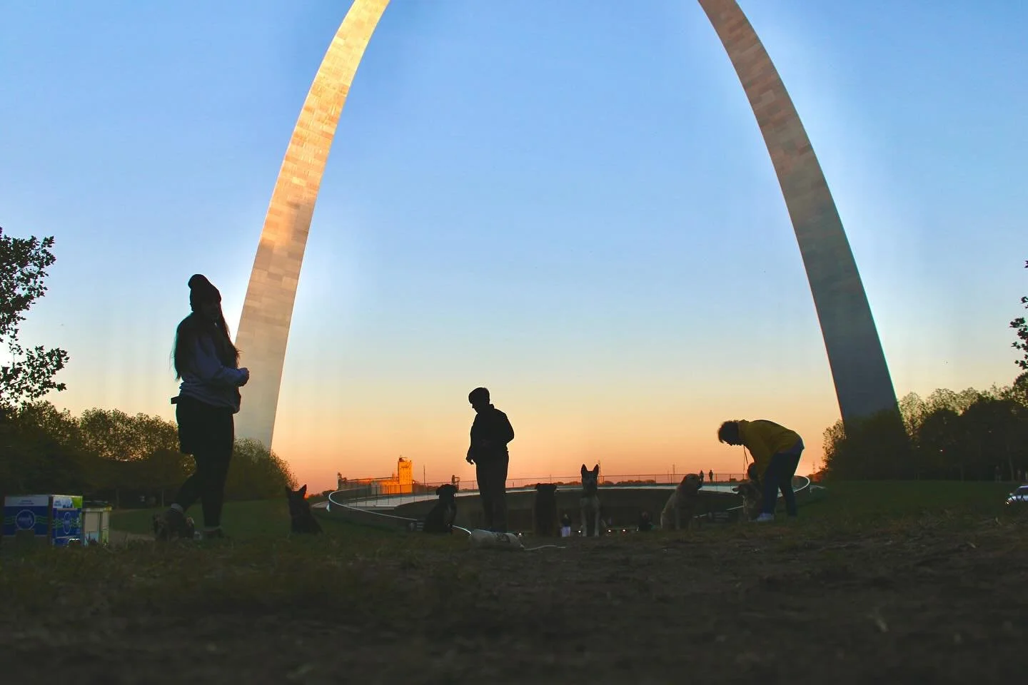 Last night we wrapped up the last group class of the season. It&rsquo;s bitter sweet. Last night we didn&rsquo;t play games or run drills, we played with our dogs in the park at sunset. No one had a reaction, everyone minded their manners, and the do