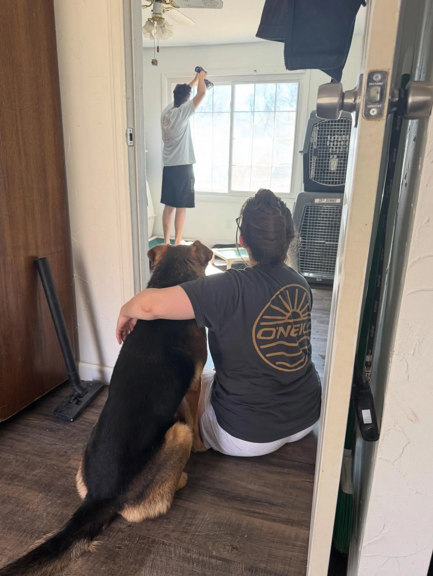 We are hard at work getting the dog&rsquo;s room set up in the new house in anticipation for your pups to come enjoy the backyard.

We may be installing some semi permanent kiddy pools for their summer enjoyment 👀