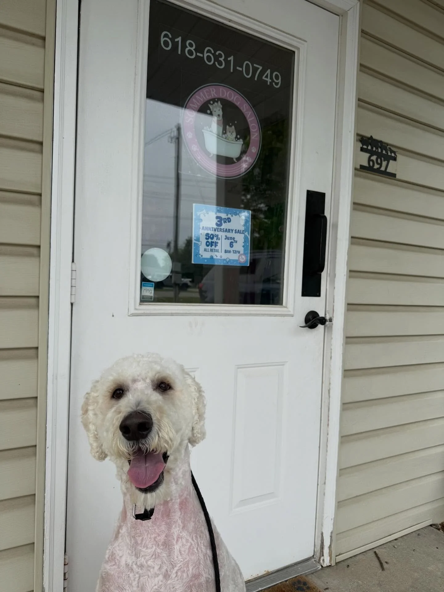 As always, I had a great time working with @sommerdogsalon last Friday.

Brody came to me after being exiled from a groomer. We spent a few weeks training and then I accompanied him to his first groom with Brooke. Her expertise is always so refreshin