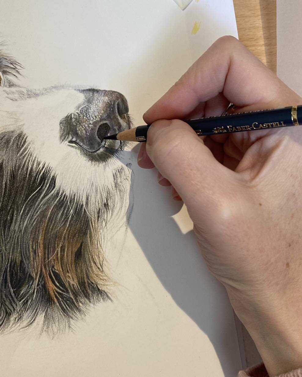 Hi everyone I am still here! I haven&rsquo;t been able to post in a while due to doing a couple of surprise commissions. I can give you a sneaky peak of this little beak though! Lol&hellip; Hope you are all enjoying this beautiful sunshine!  #animalp