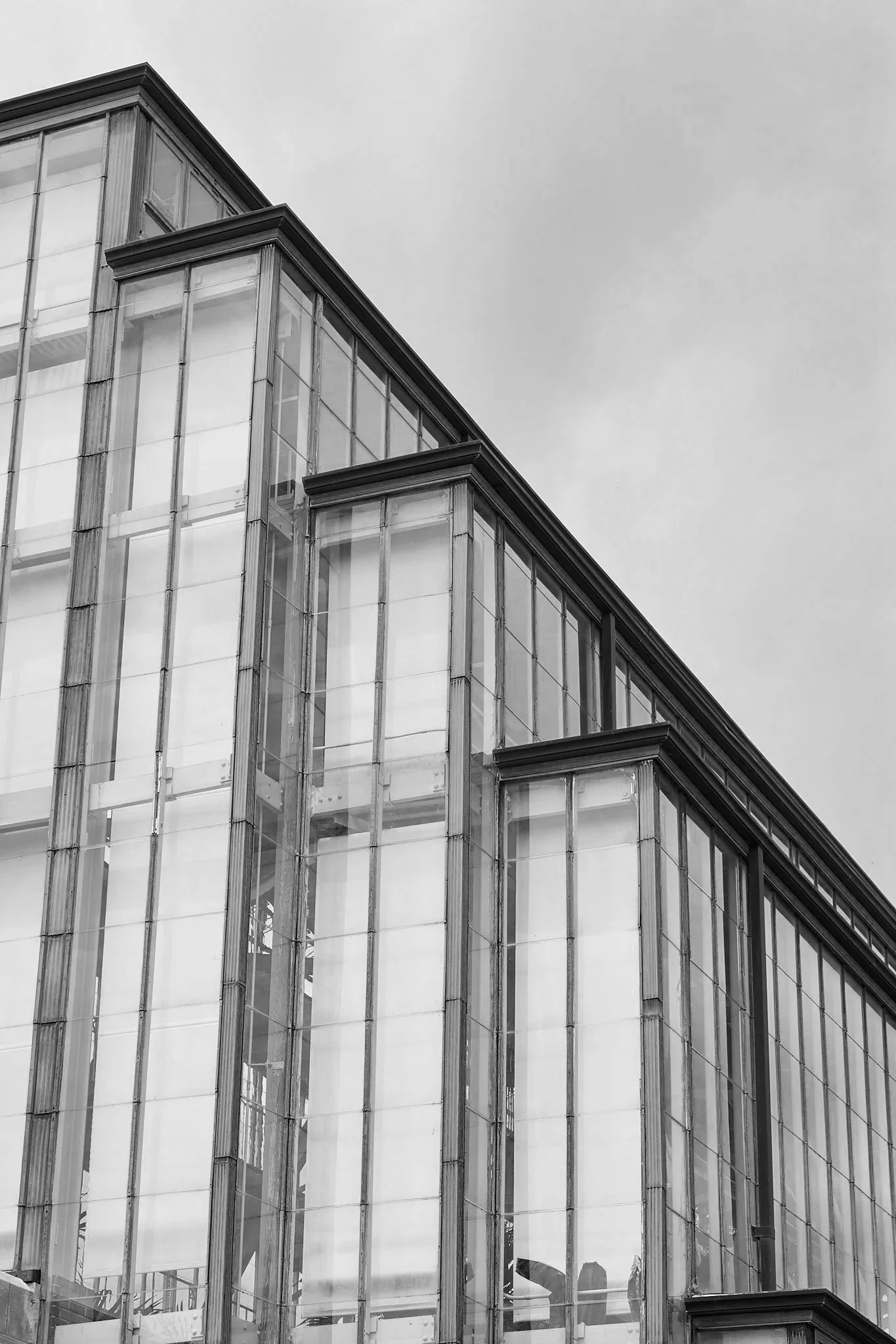 _DSC0008.jpg