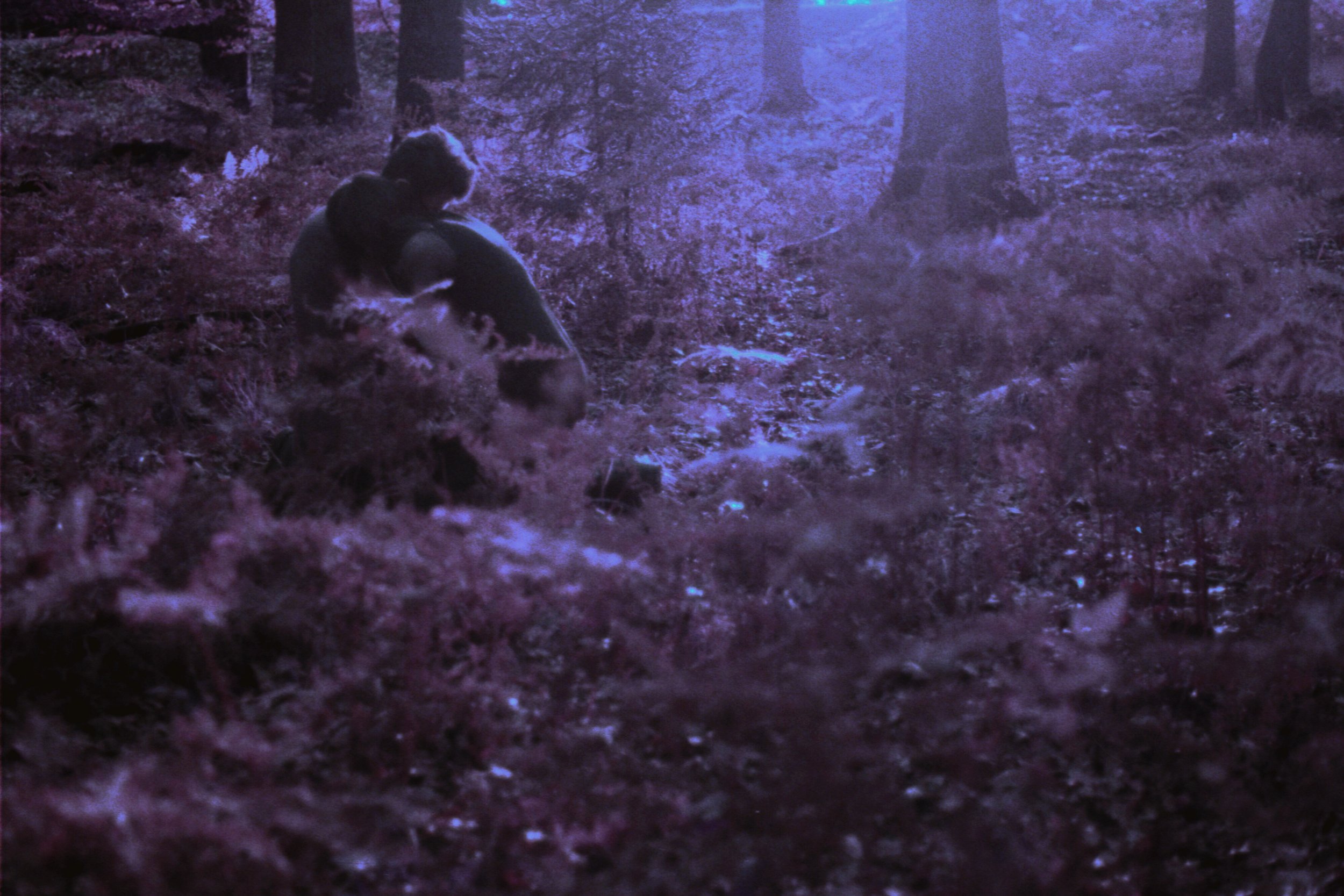 self portrait 2020-october.JPG