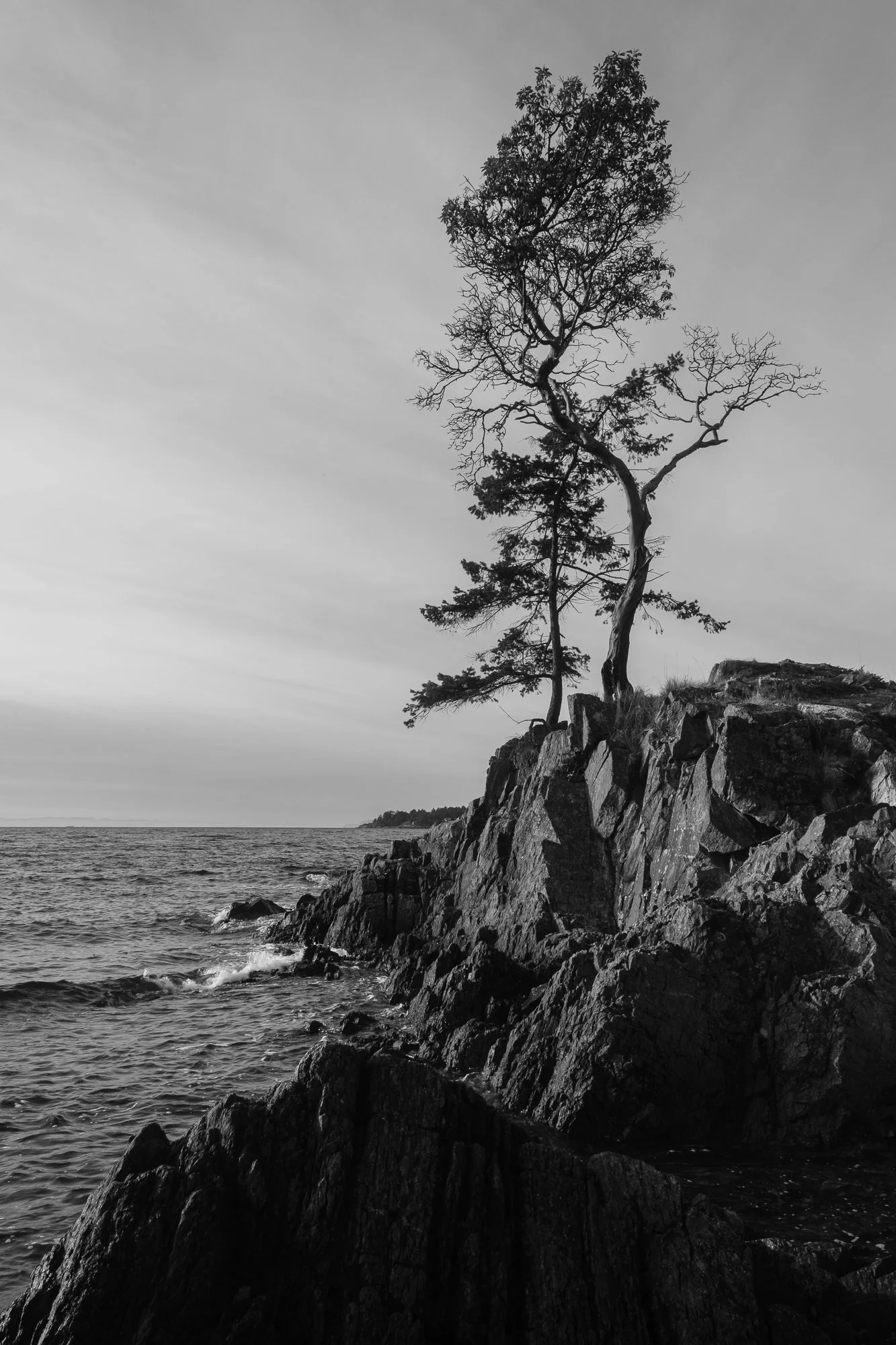 _DSF2035-HDR.jpg