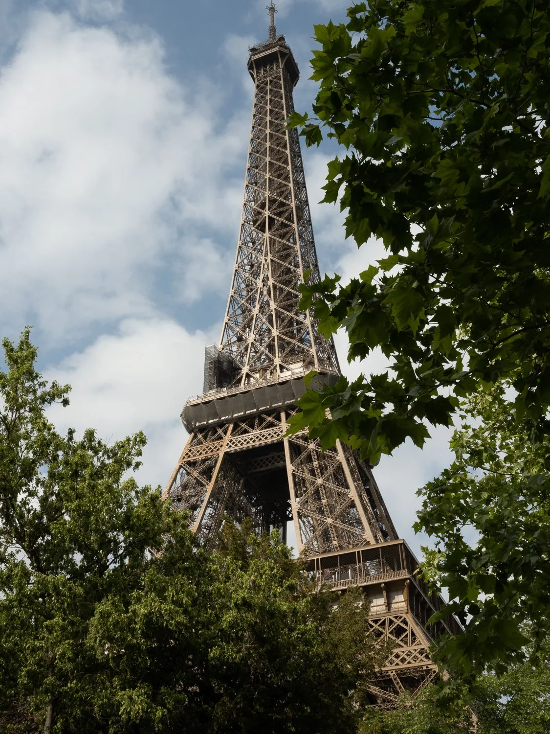 eg-25.jpg