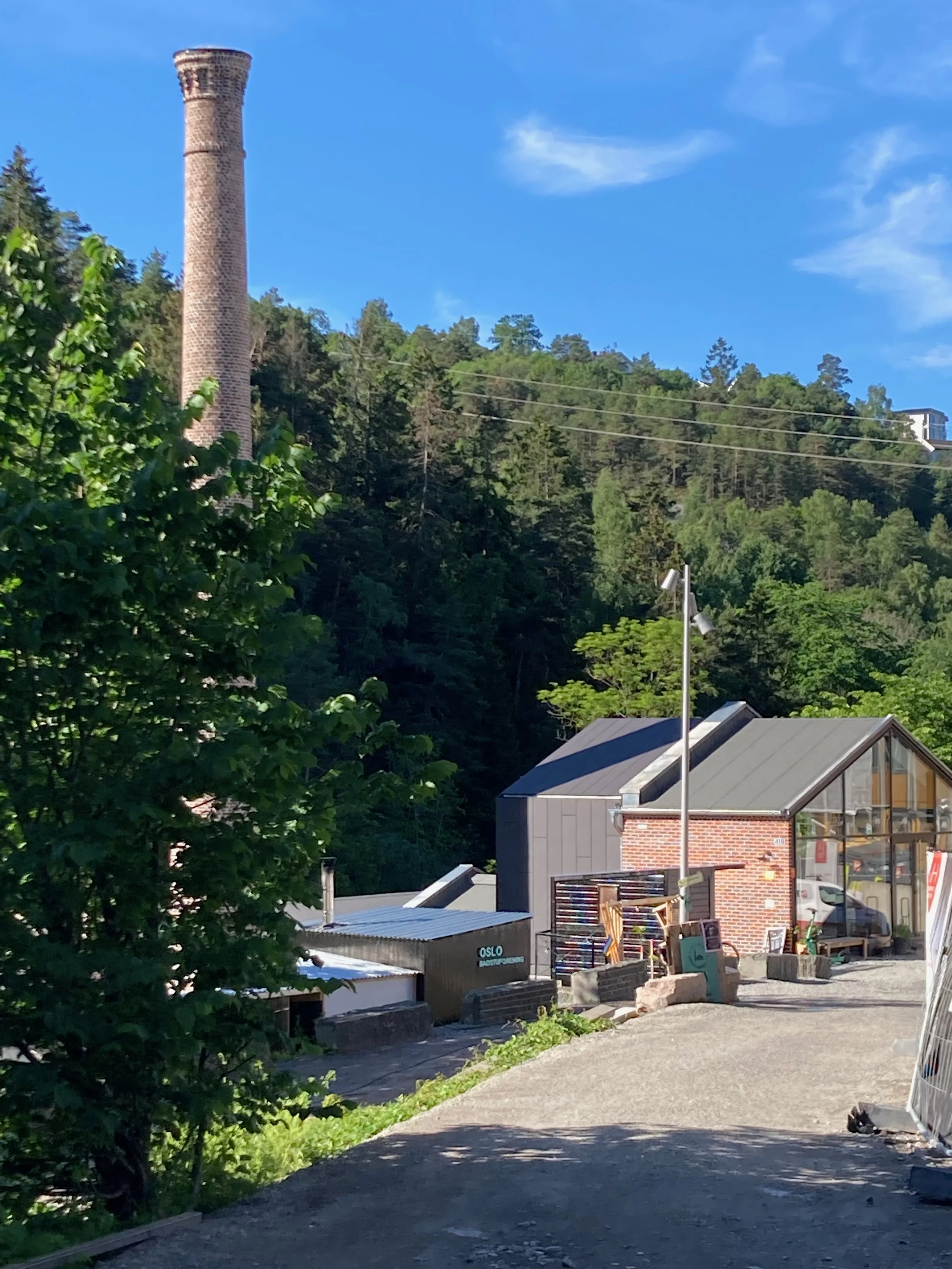 krutt from driveway.jpeg