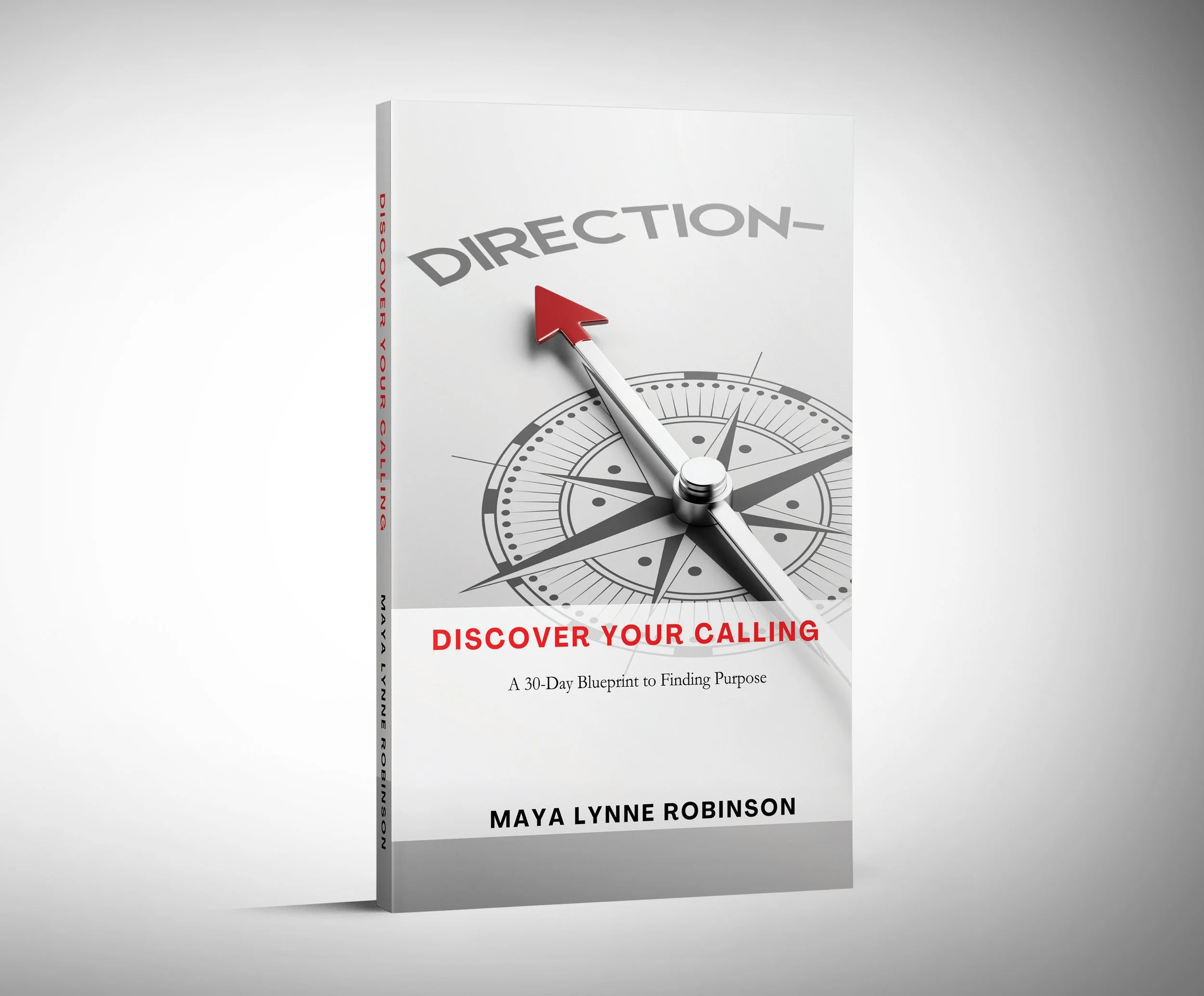 discover 3d mockup paperback.jpg